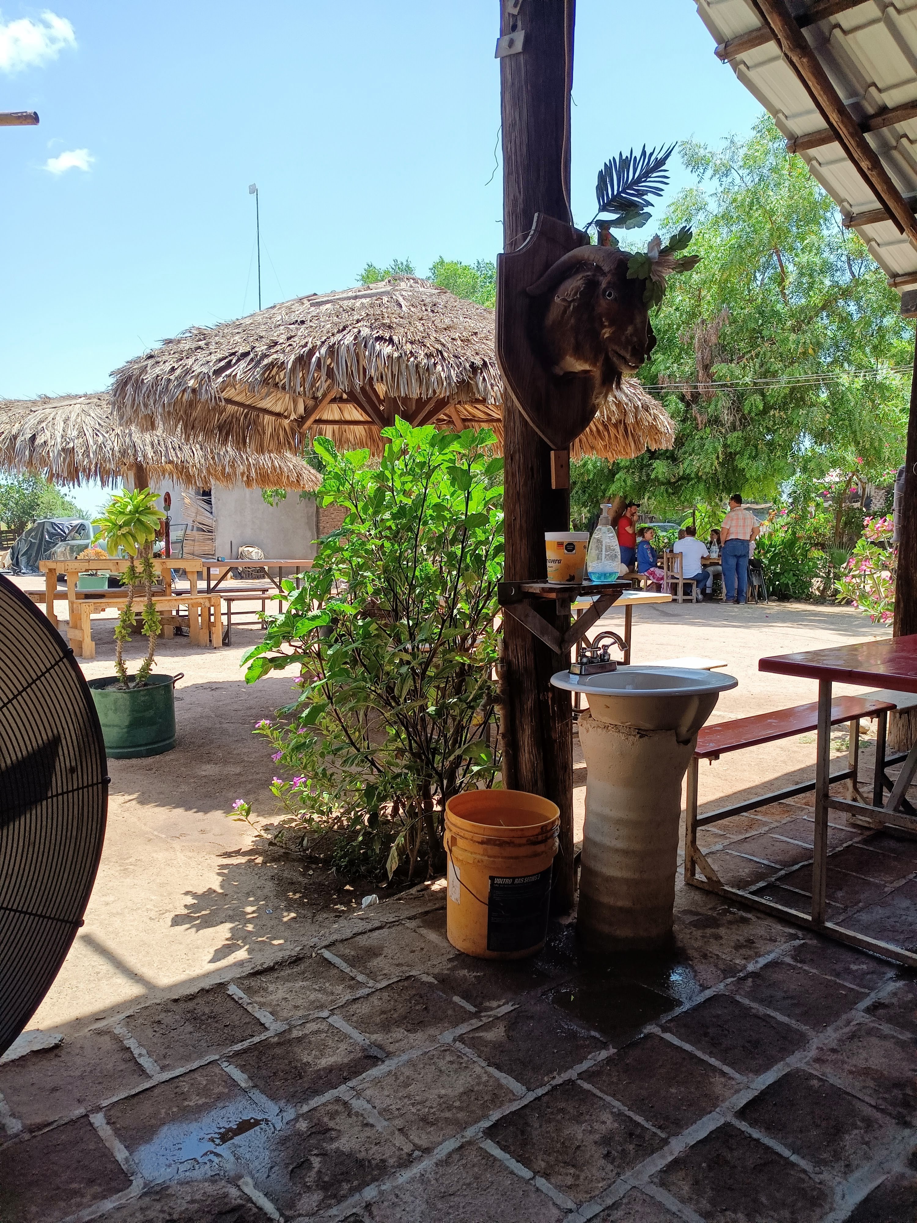 Birriería Ochoa's image 1