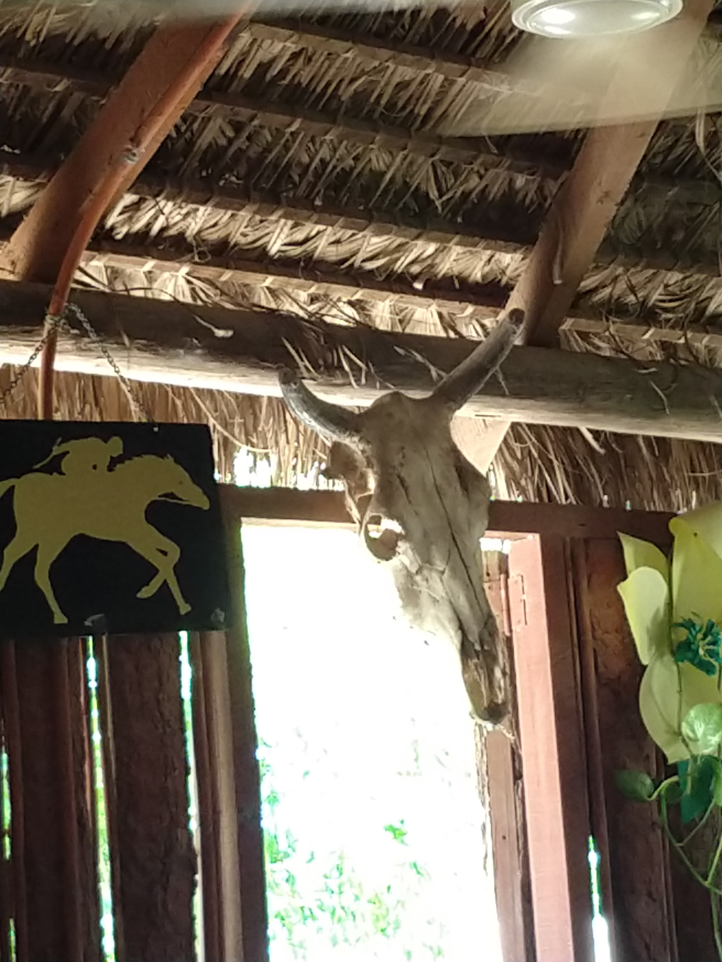 Birriería Ochoa's image 7