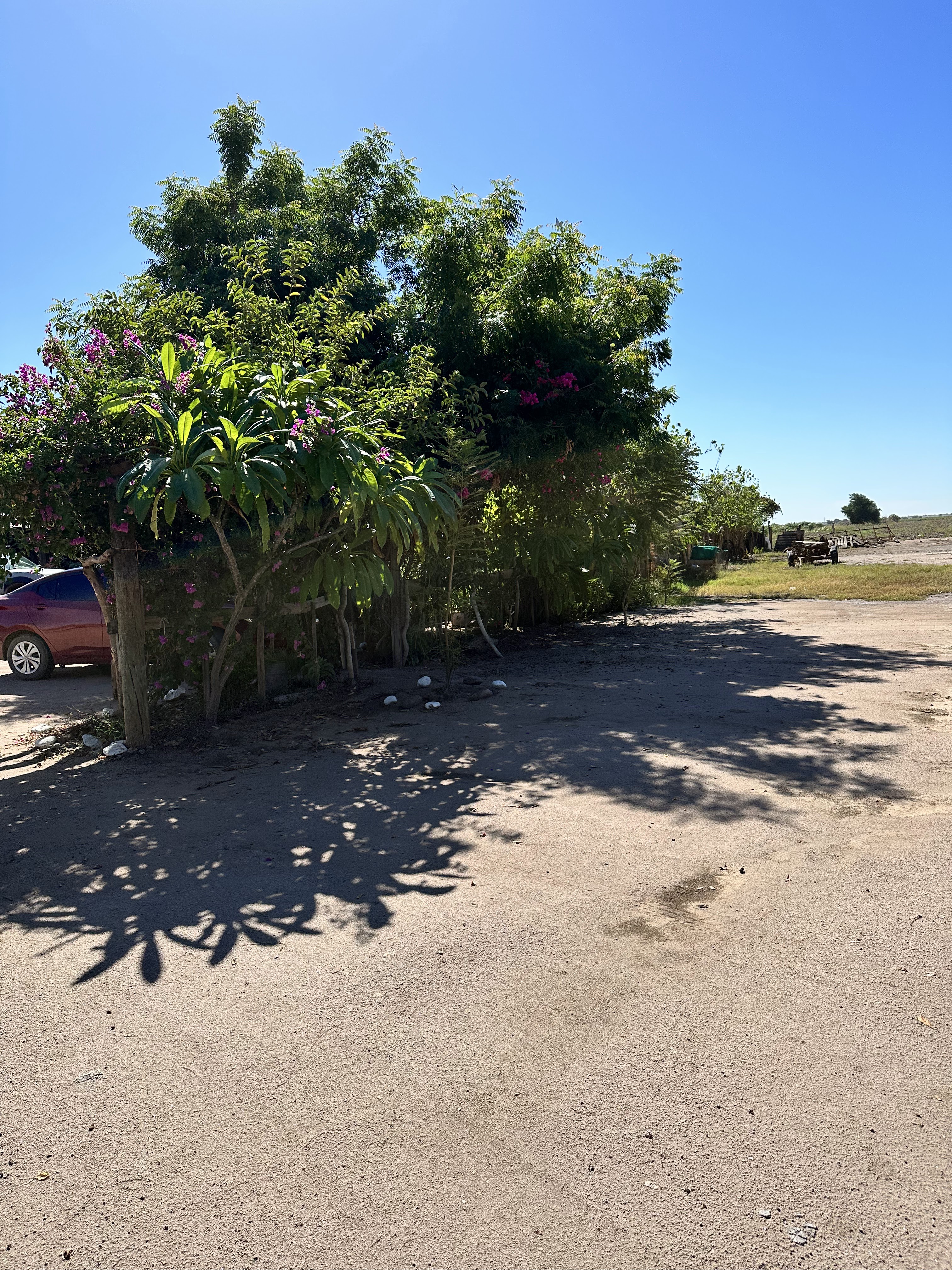 Birriería Ochoa's image 9