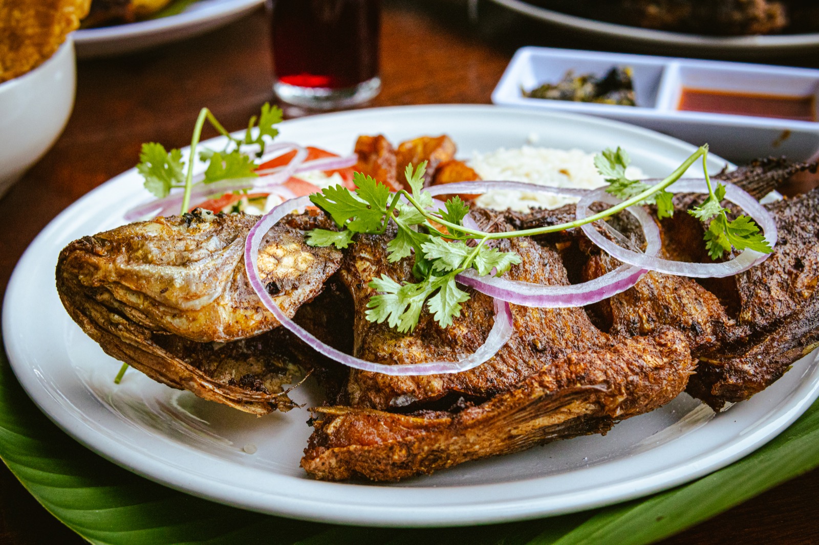 Eden Teapaneco image 2