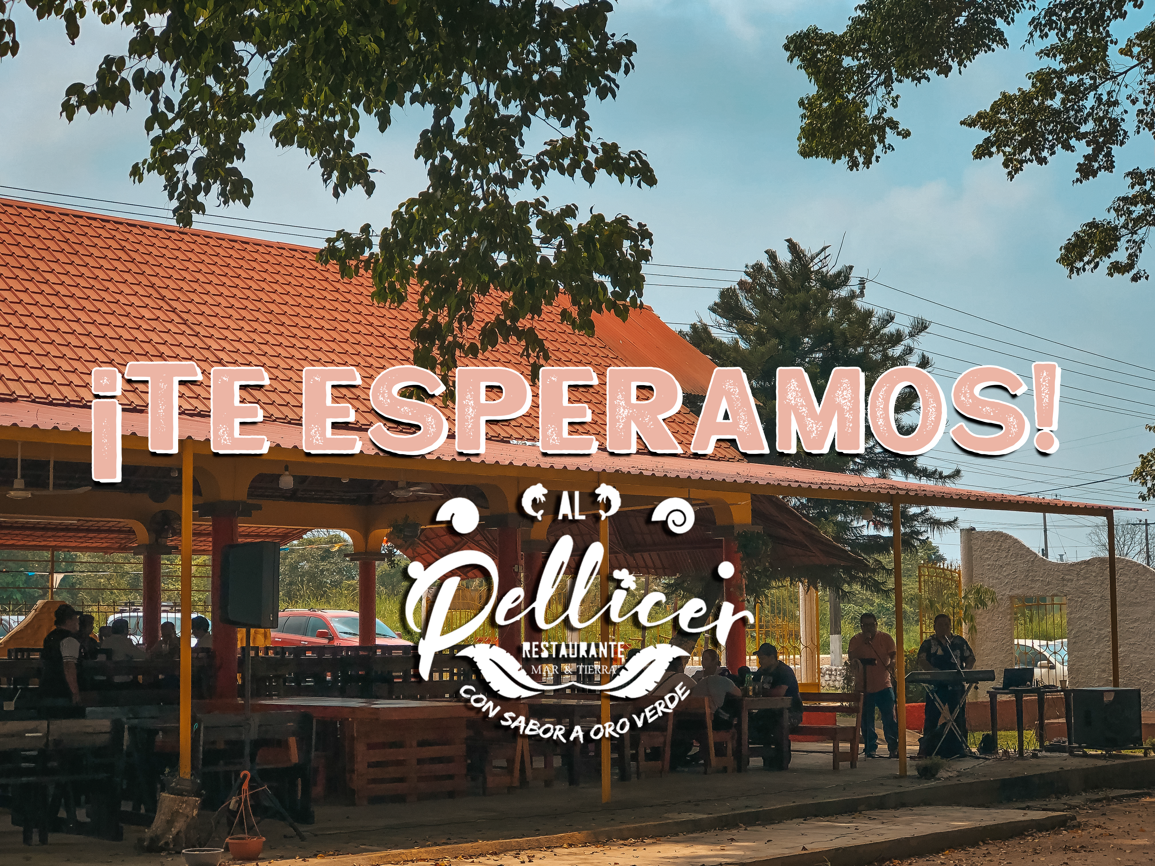 Al Pellicer Restaurante OFICIAL image 1