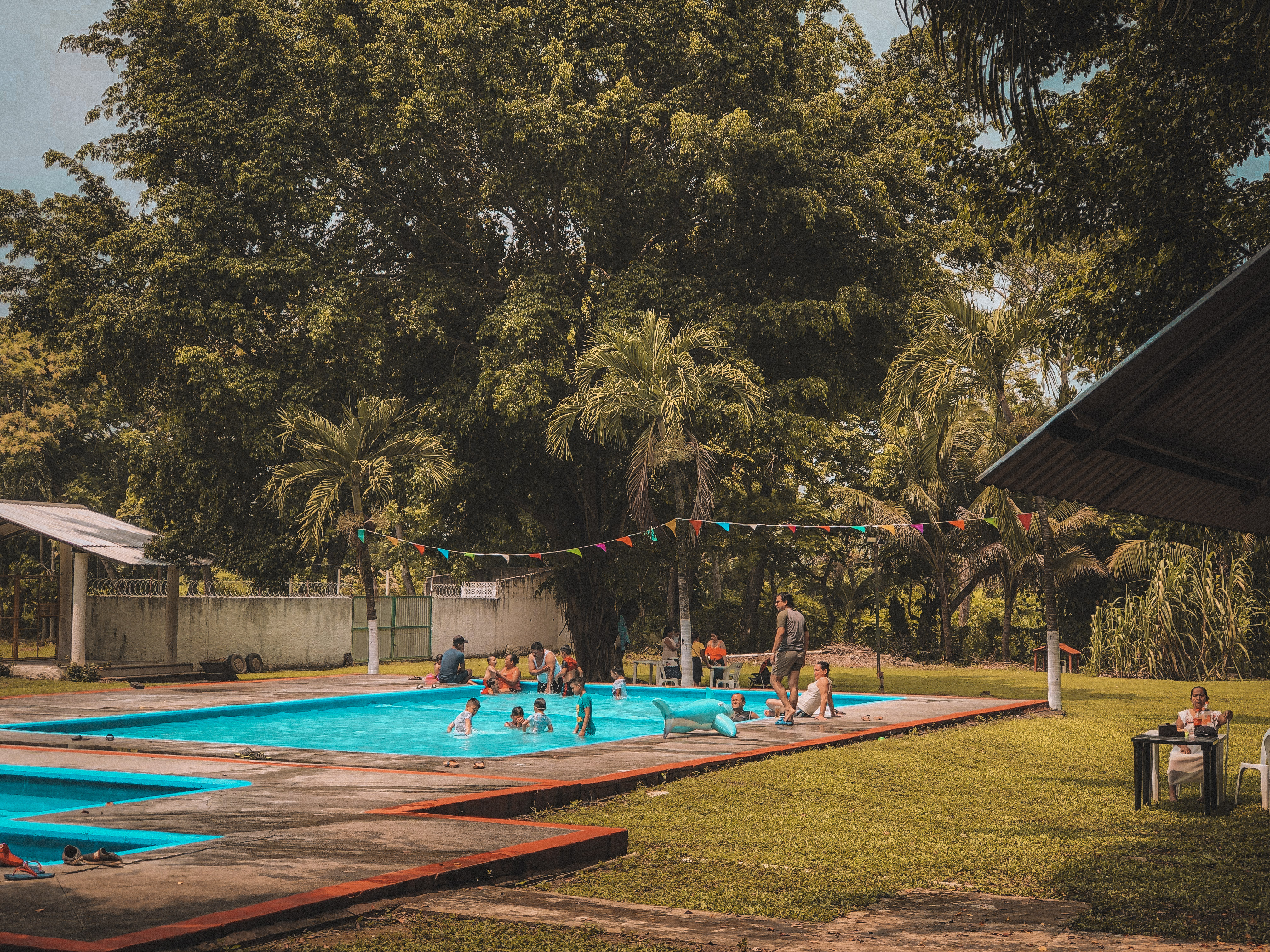 Al Pellicer Restaurante OFICIAL image 3