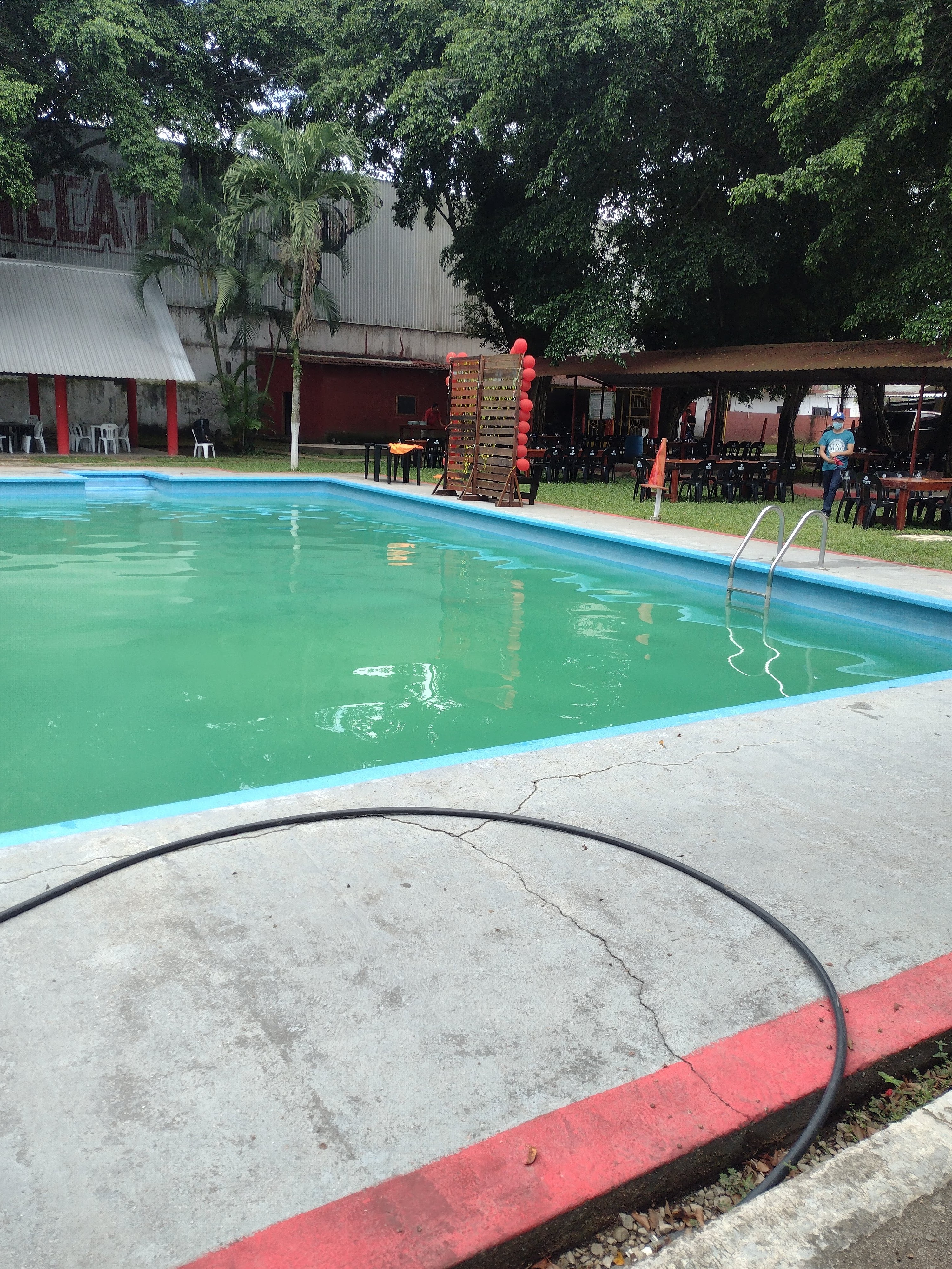 Al Pellicer Restaurante OFICIAL image 7