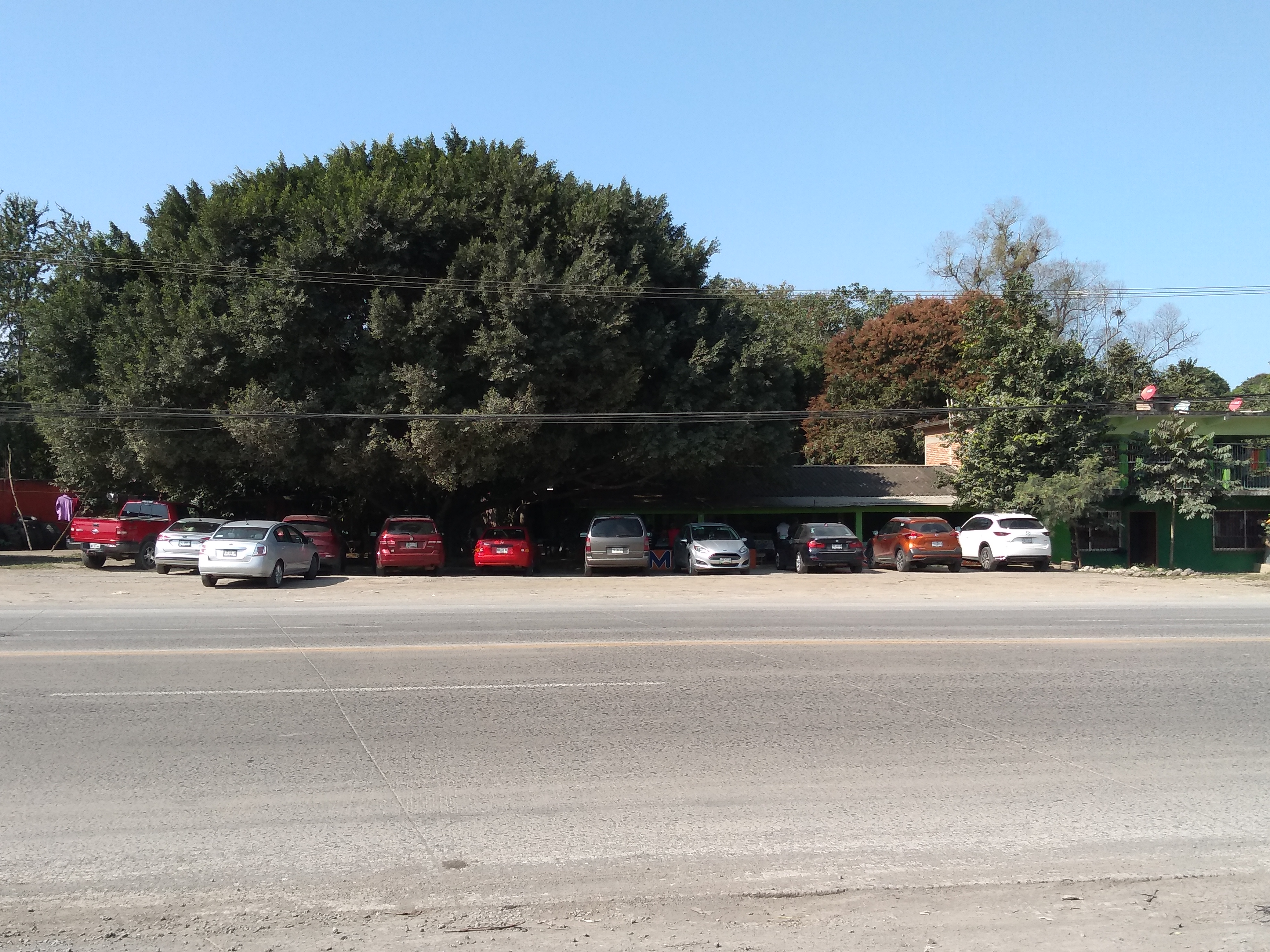 Comedor melissa 7 1/2 image 5