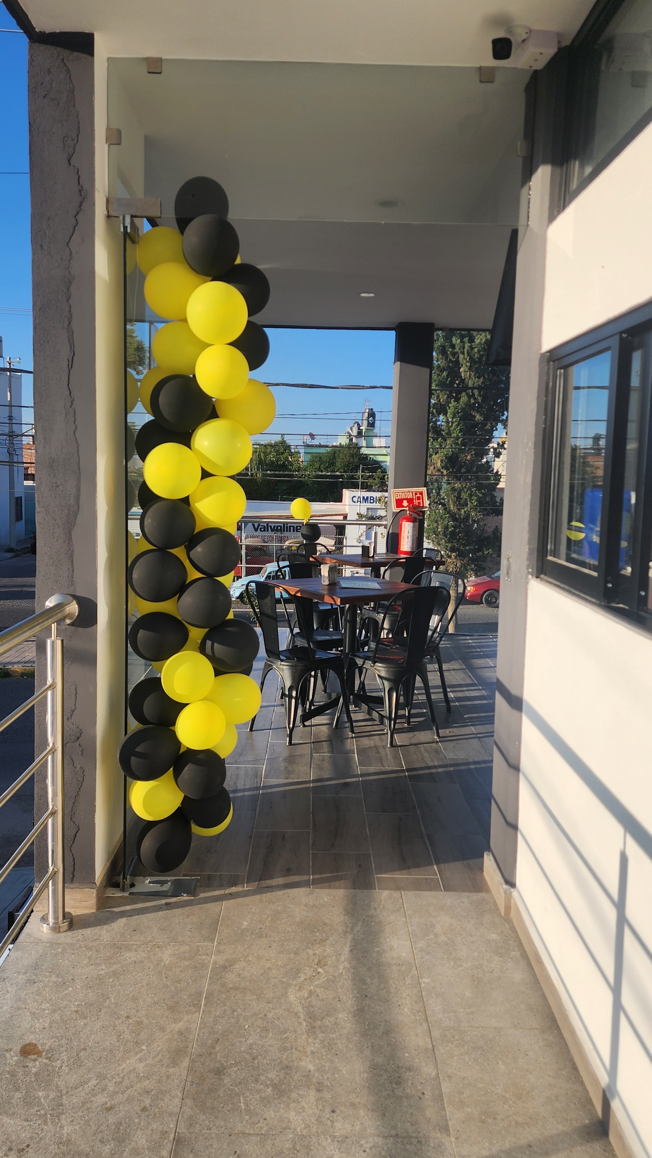 Yellow Wings image 4