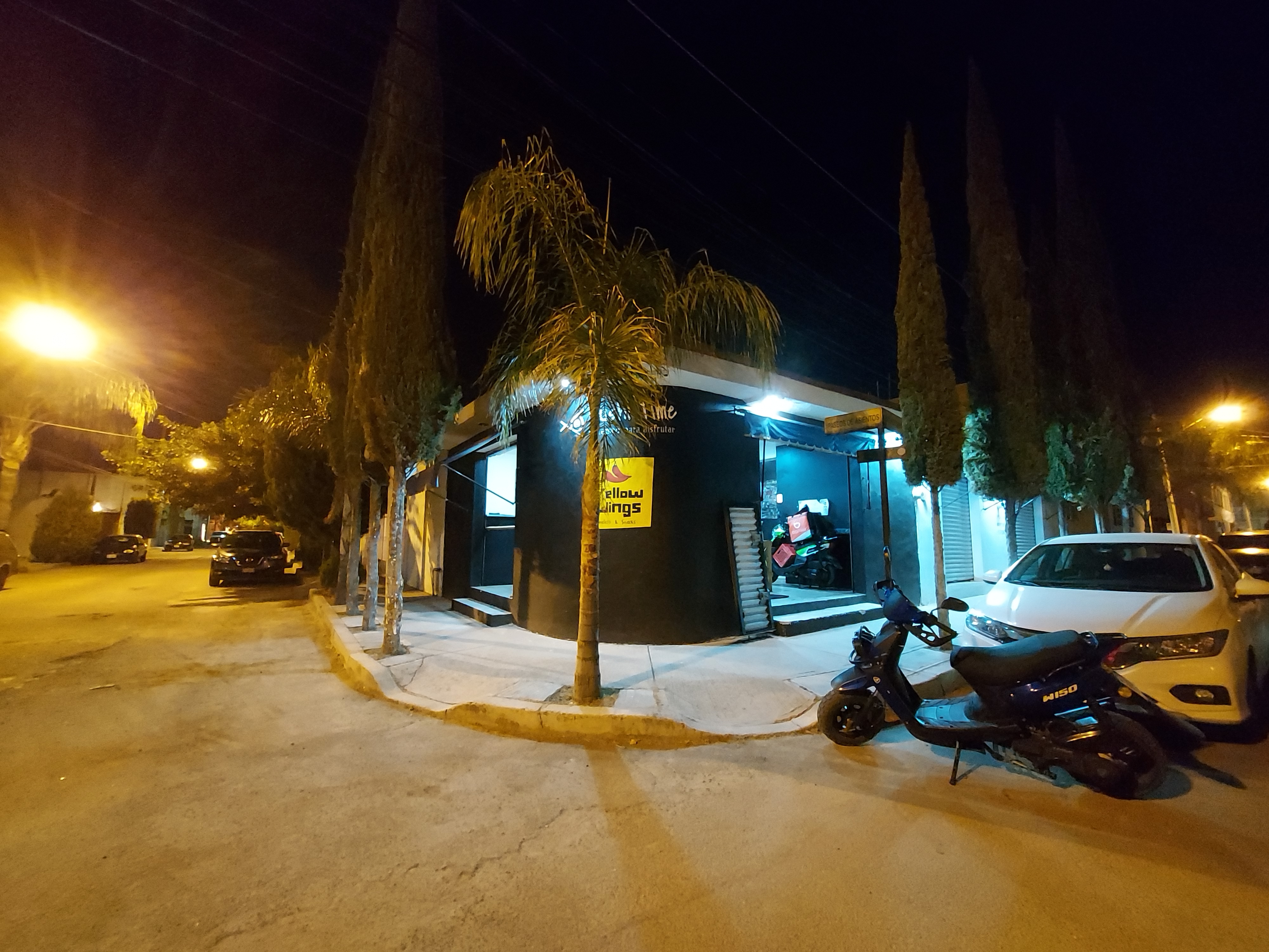 Yellow Wings image 5