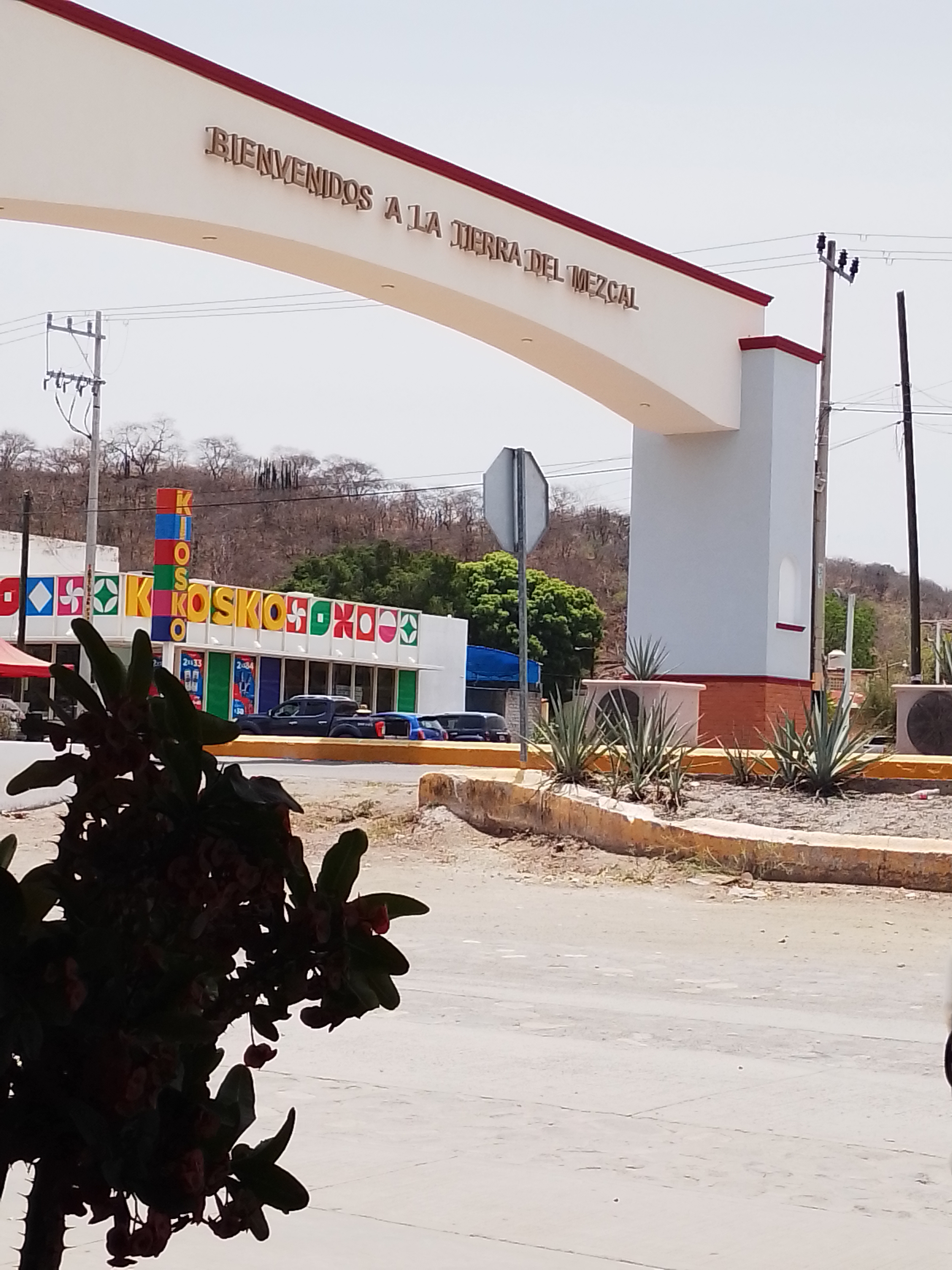 Birrieria Tonaya image 1