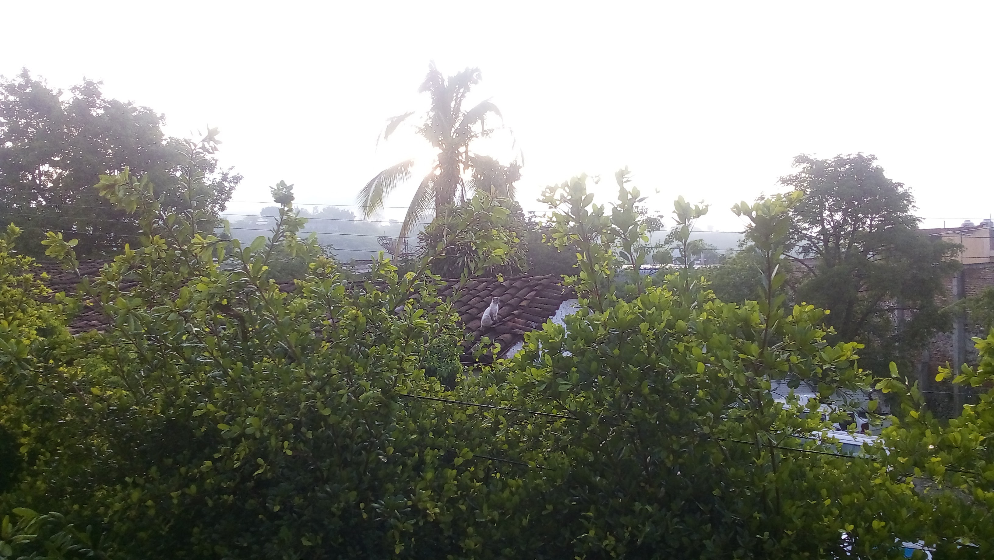 Delicias Mexicanas Restaurante image 5