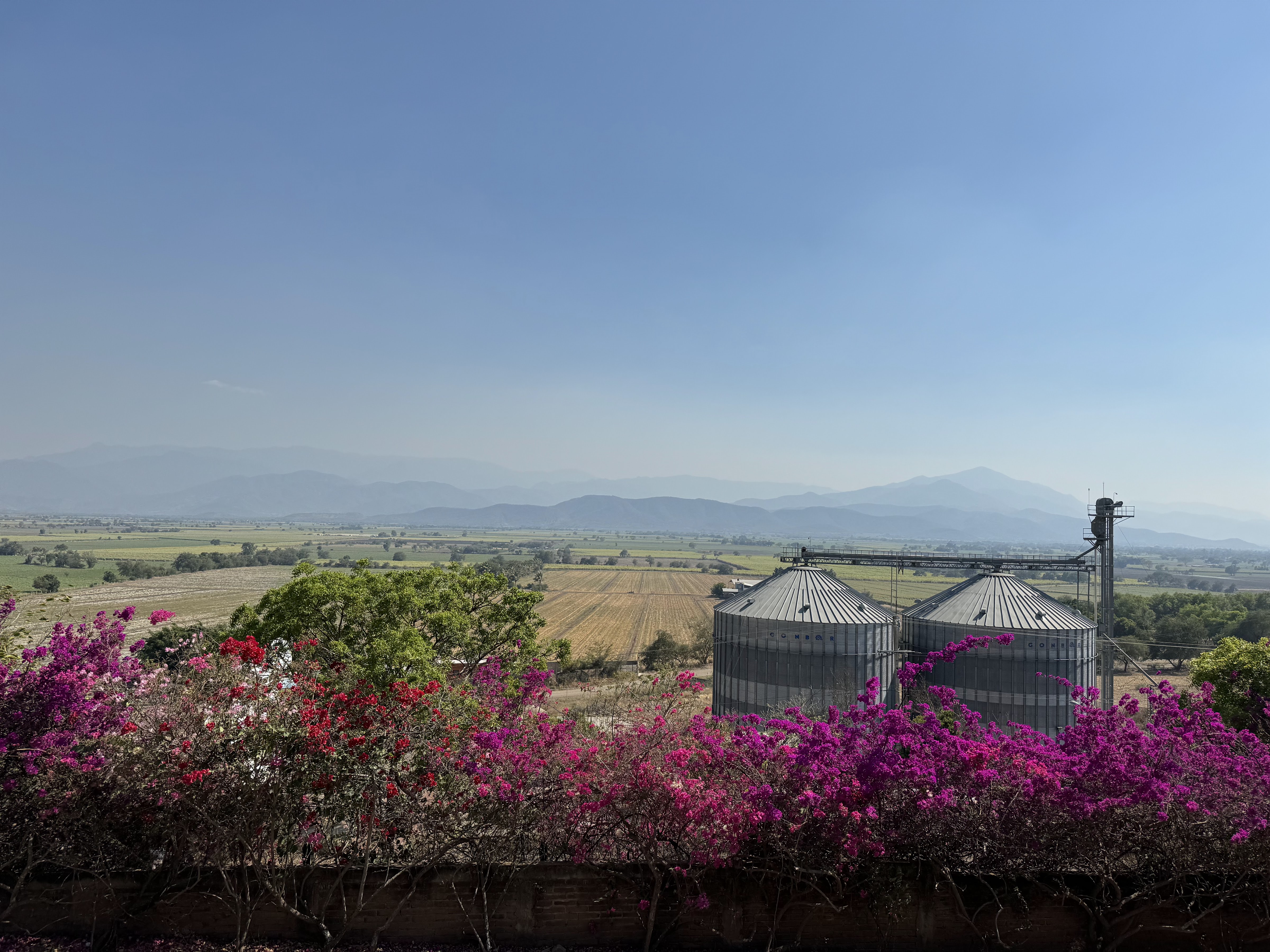 Restaurante Mr Jalapeño image 3