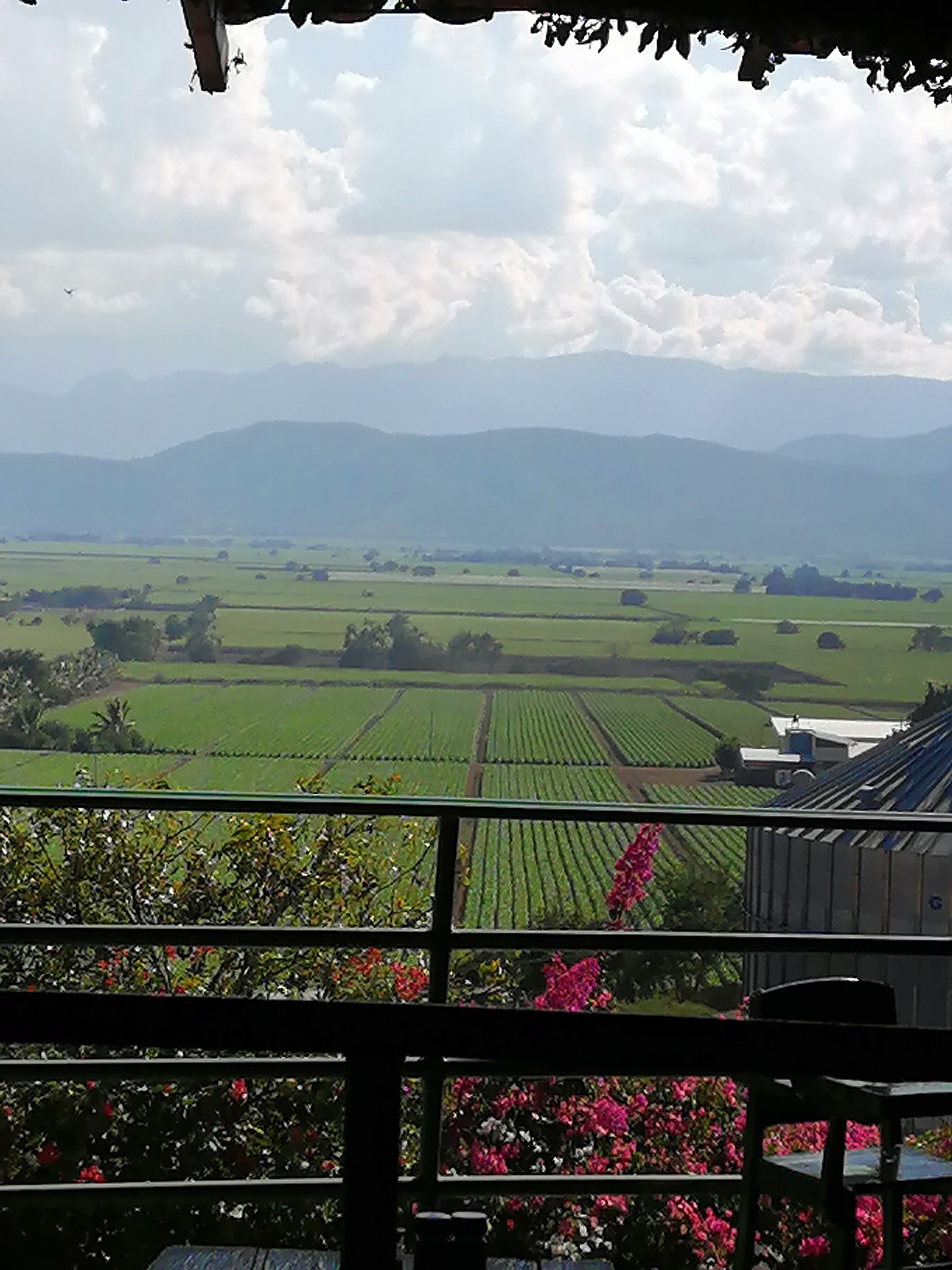 Restaurante Mr Jalapeño image 6