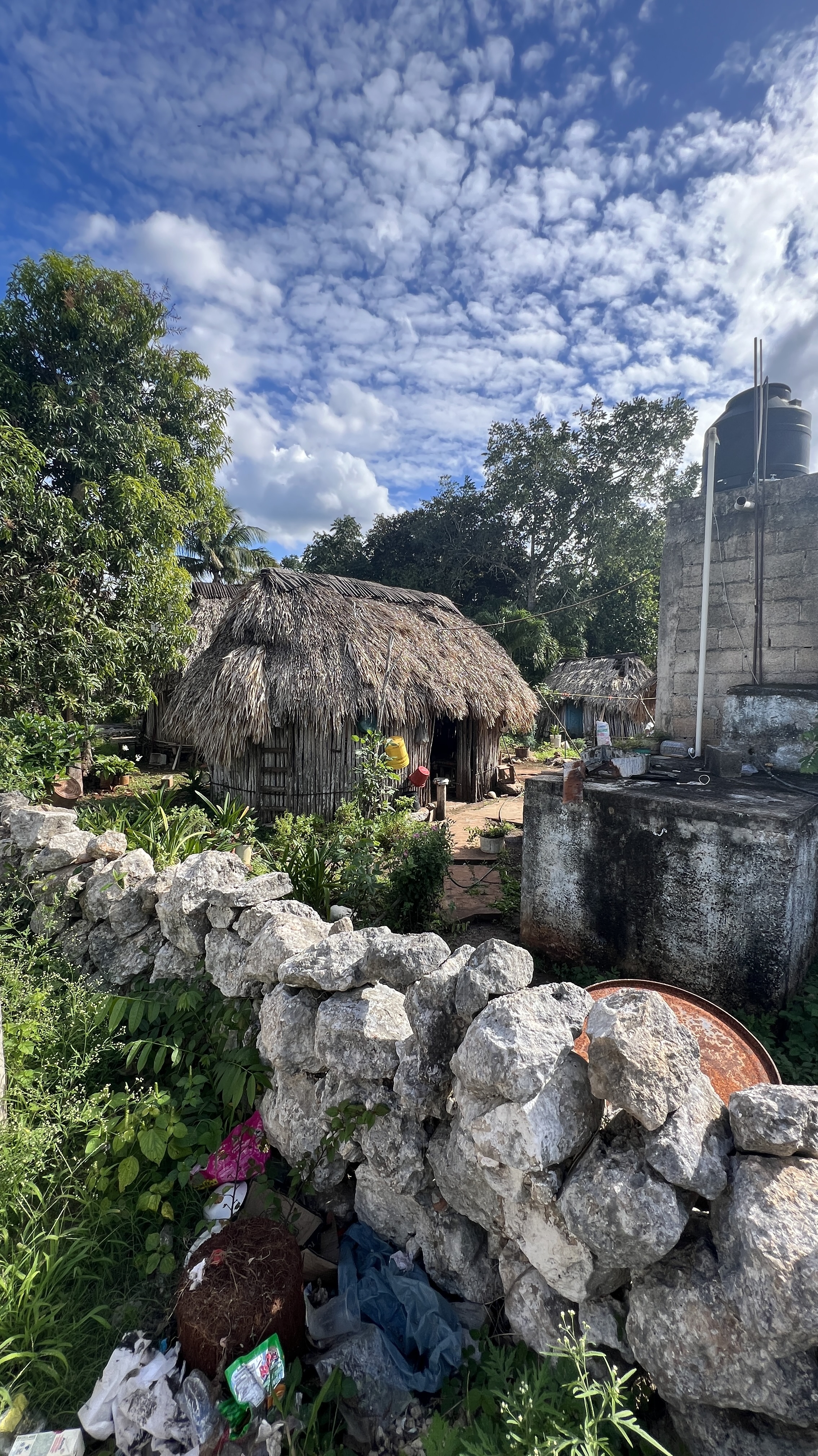 Desayunos y comidas "el amigo Chulim" image 5