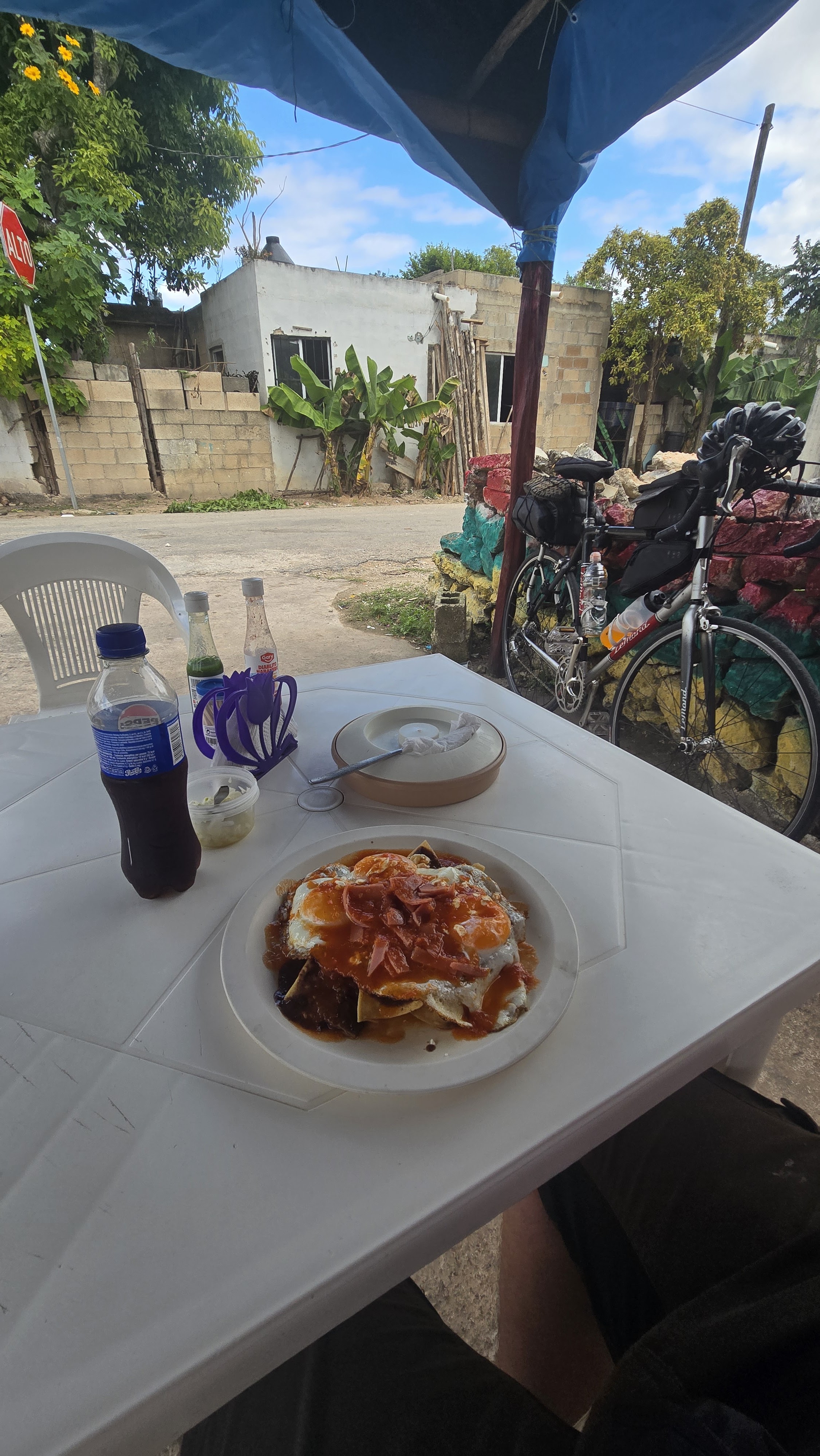 Desayunos y comidas "el amigo Chulim" image 9