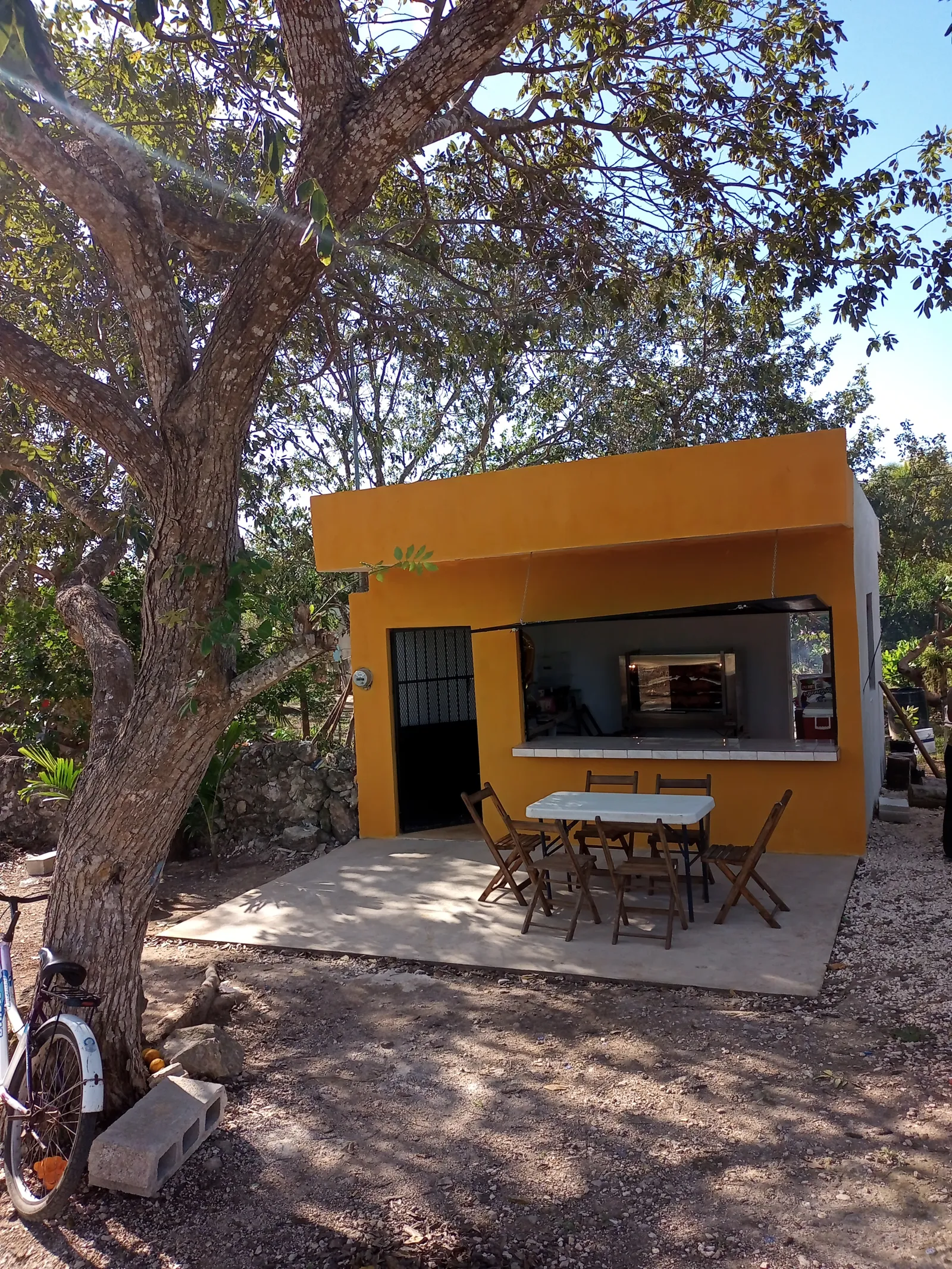 Rosticeria nicolette image 7