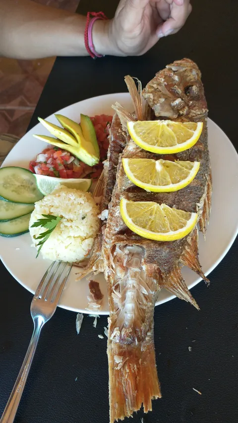 Vakano's image 2