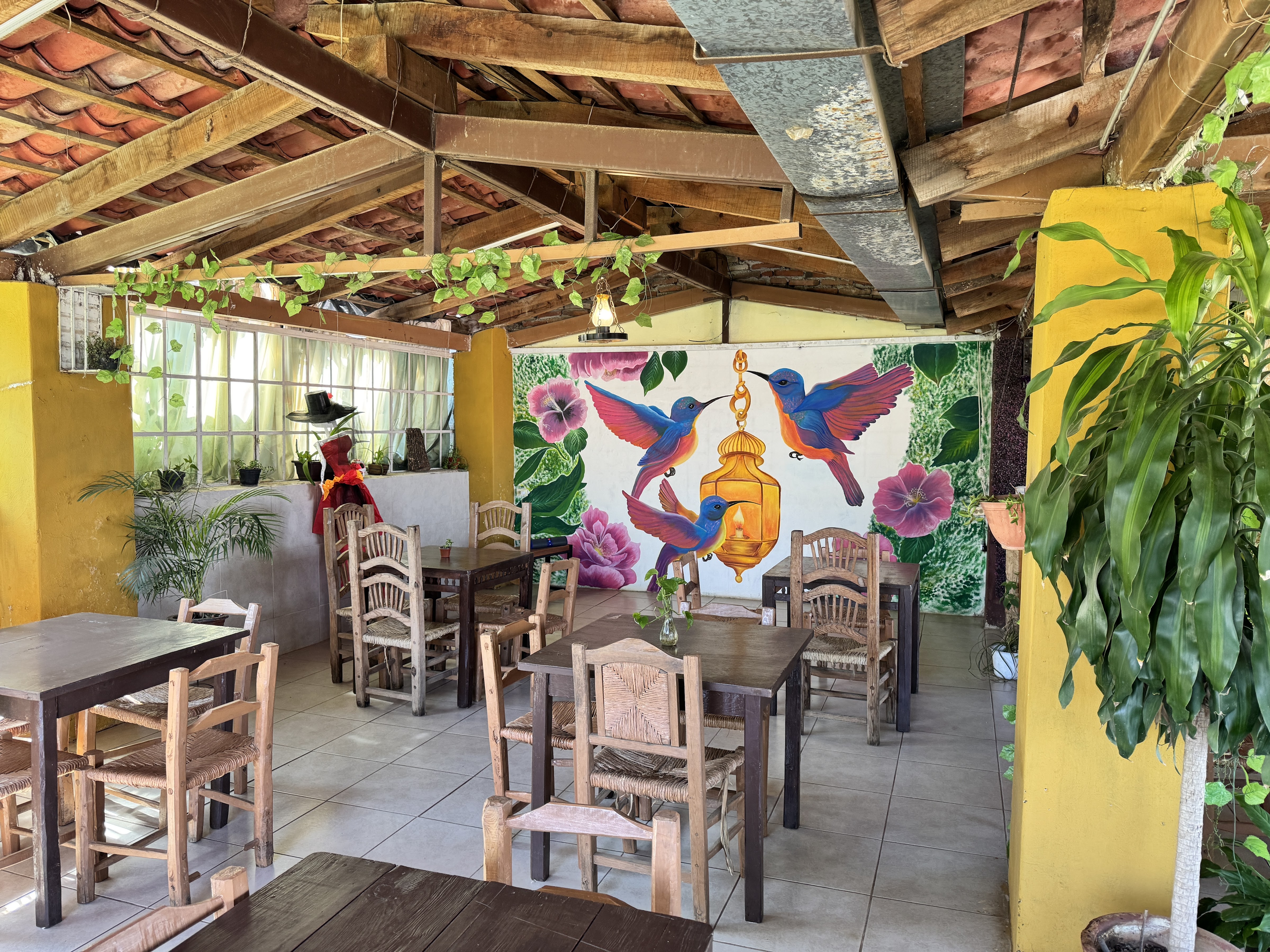 Restaurante Fenix, cocina con amor. image 1