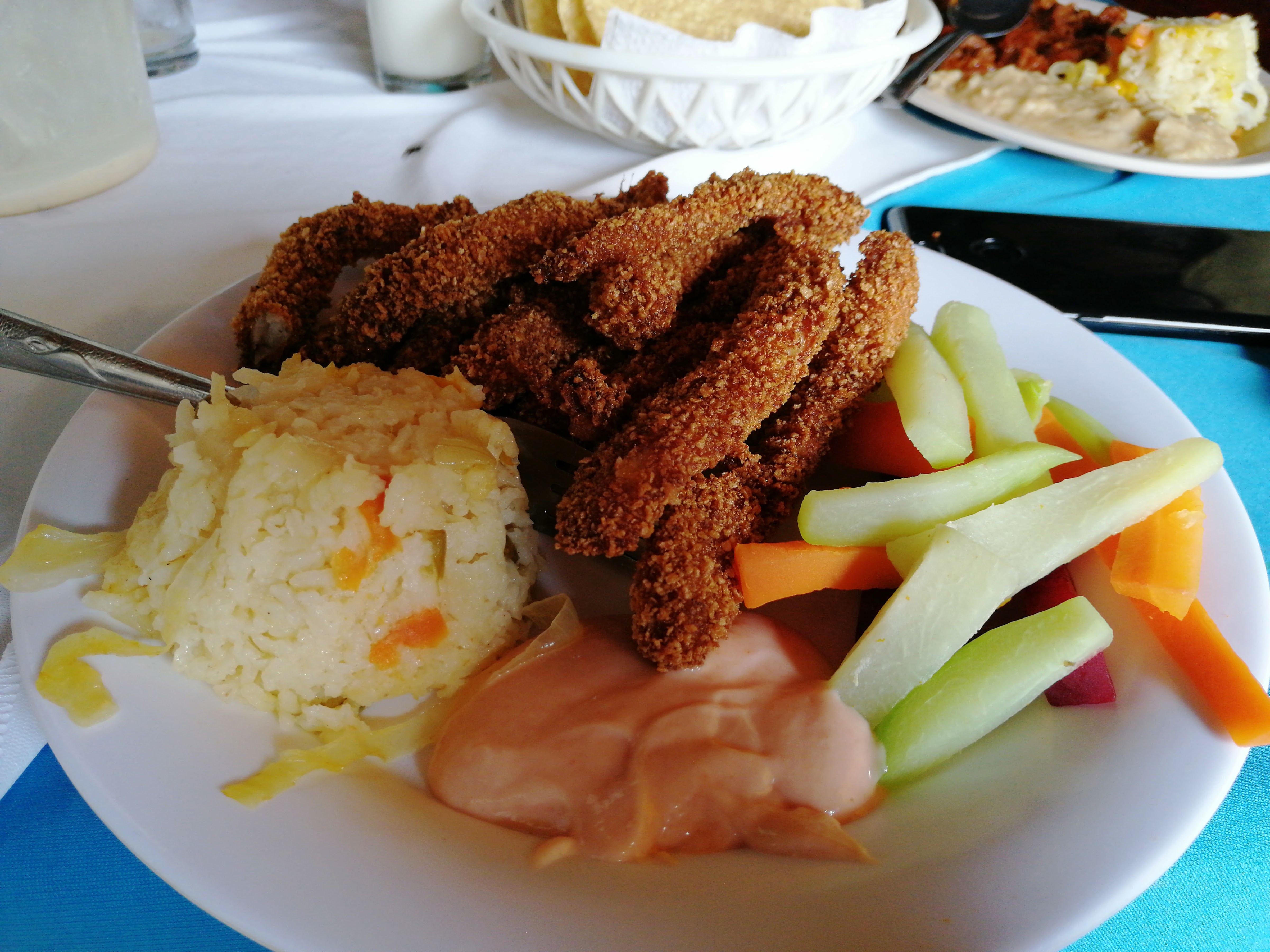 El Gran Chaparral image 2