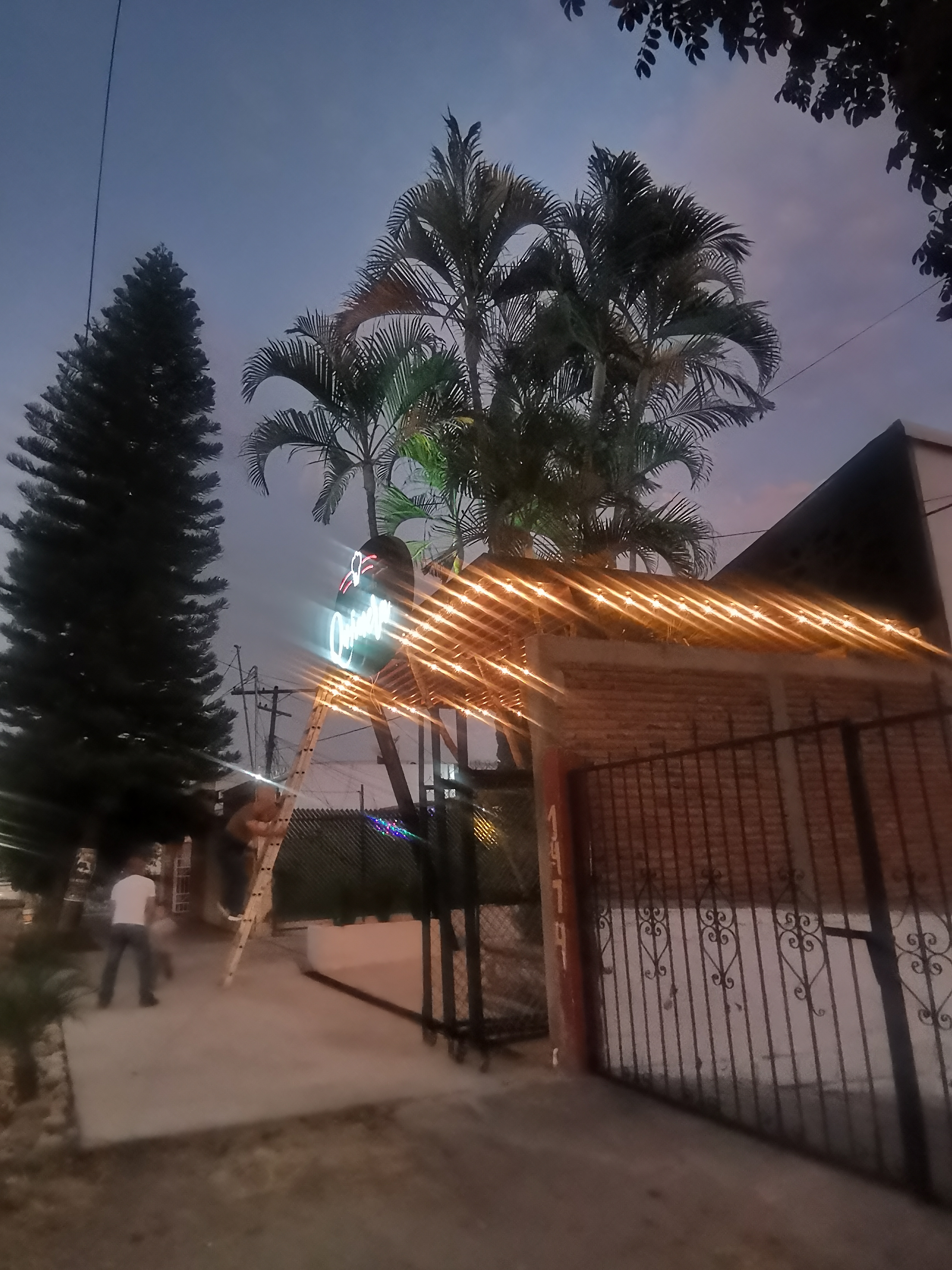 Restaurante Quimera image 2