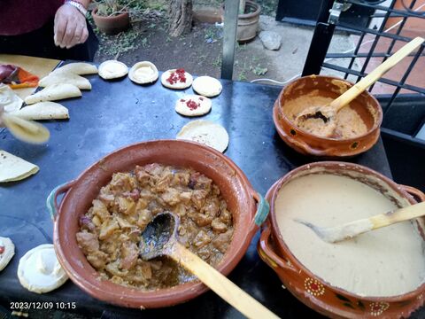 Piel Canela image 6