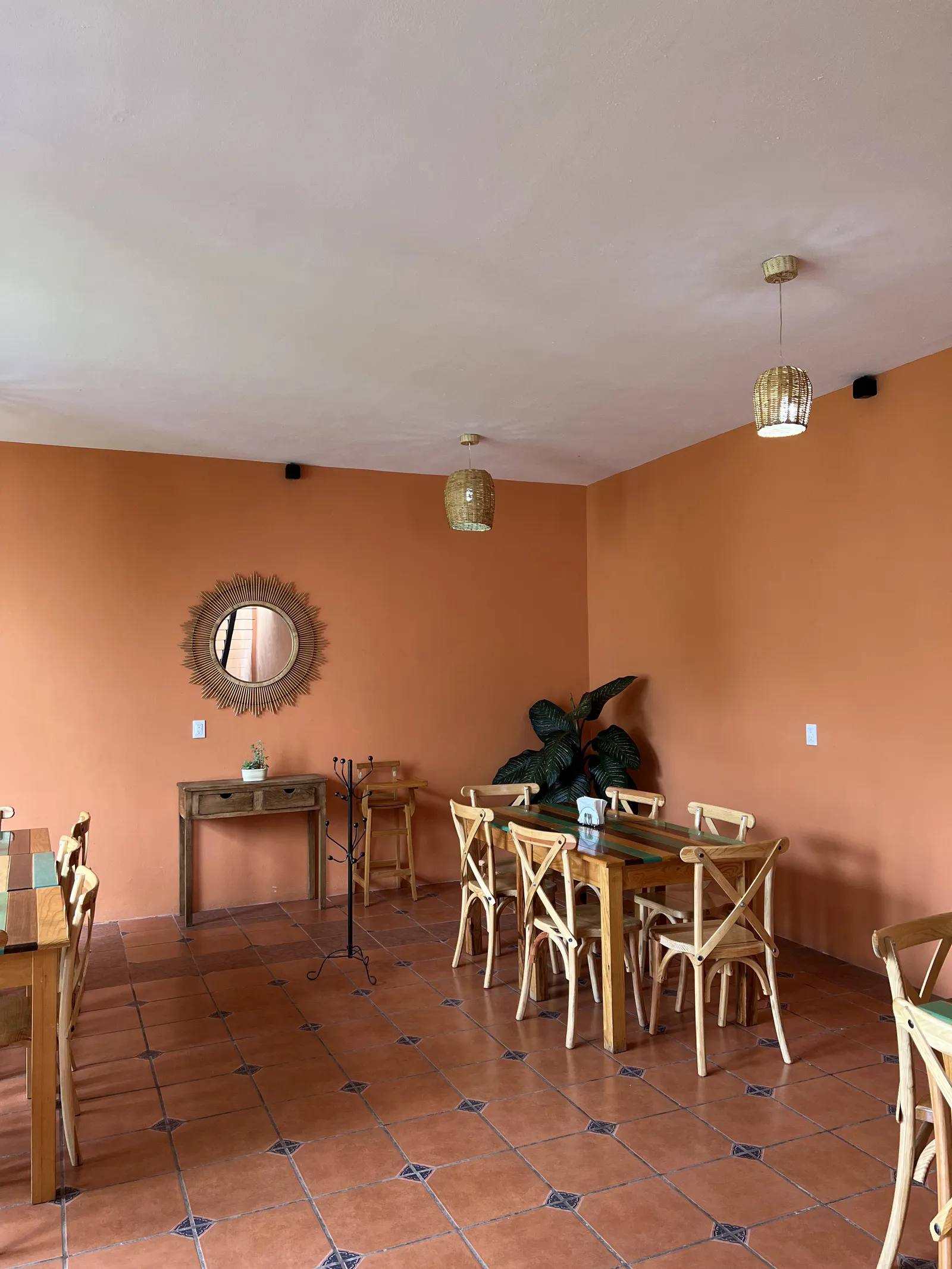 Piel Canela image 9