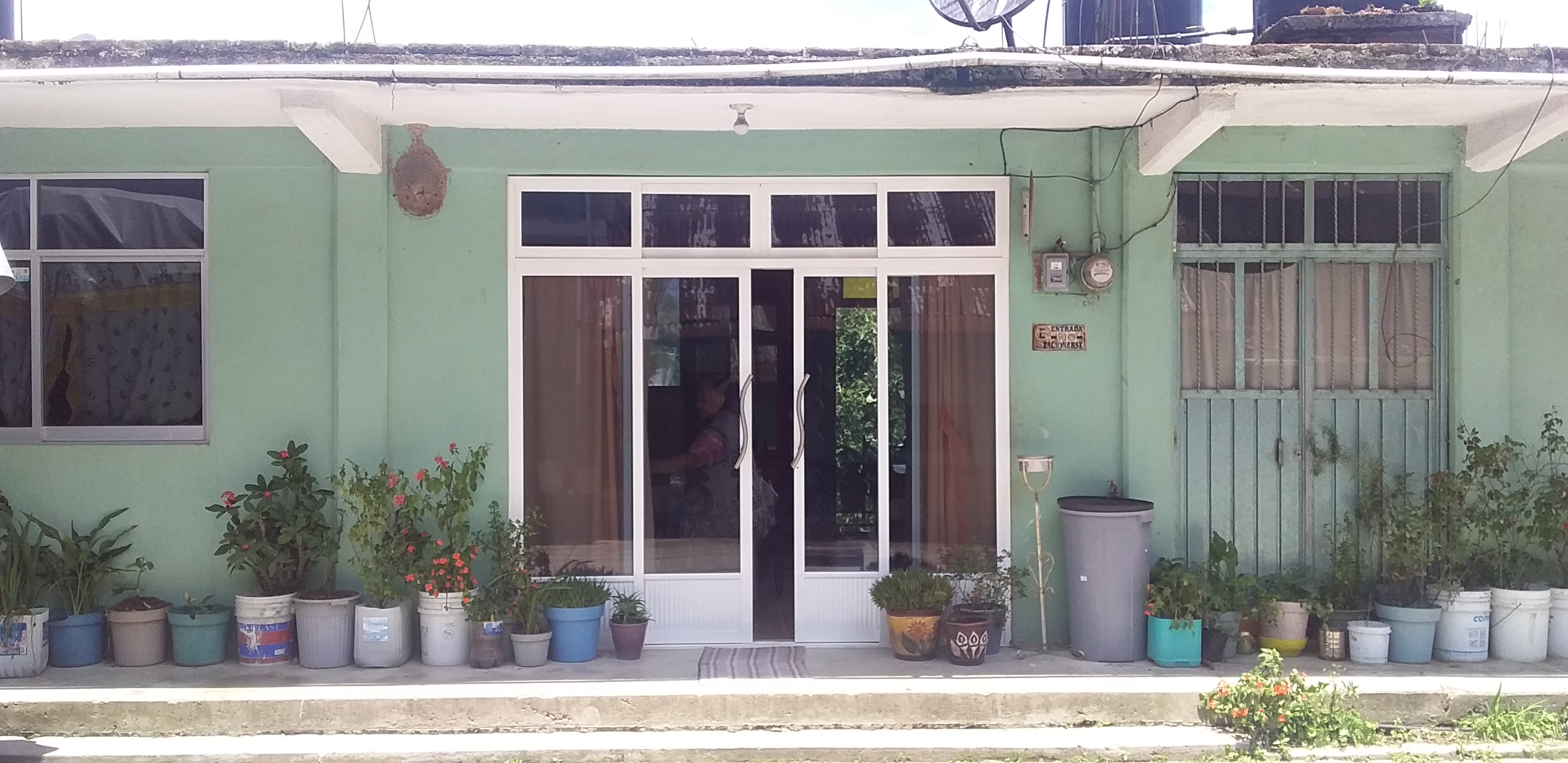 The Wings, Restaurante Bar Tenango image 6