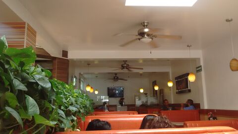 Mayeli's image 5