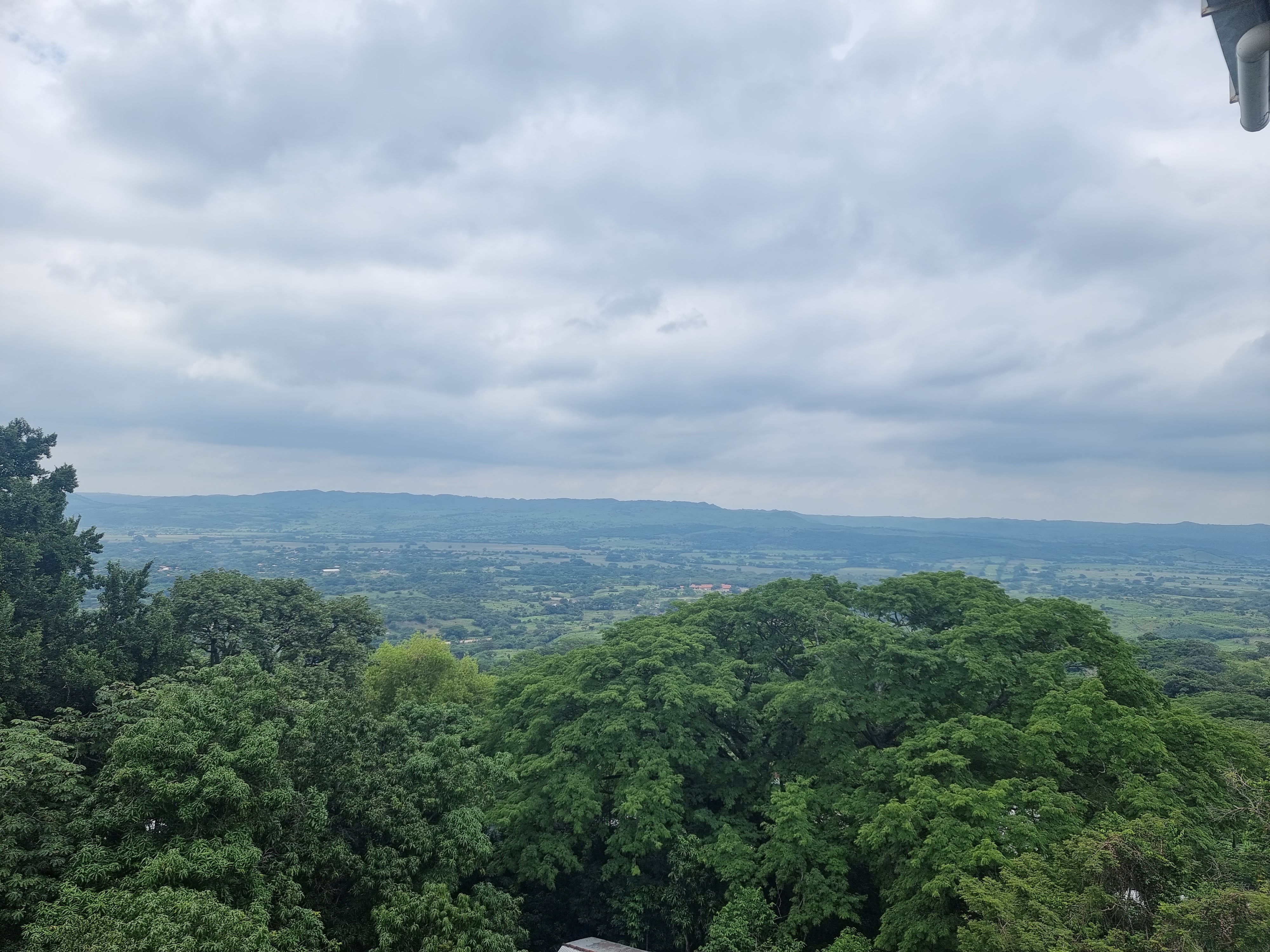 Marisqueria El Delfin image 4