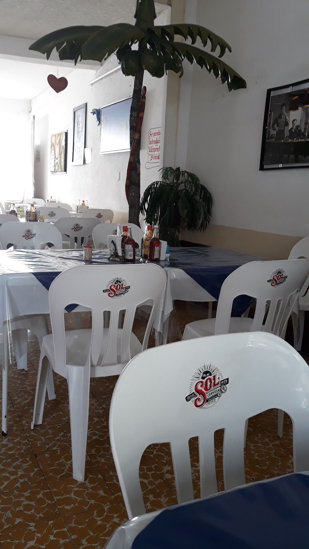 Marisqueria El Delfin image 6