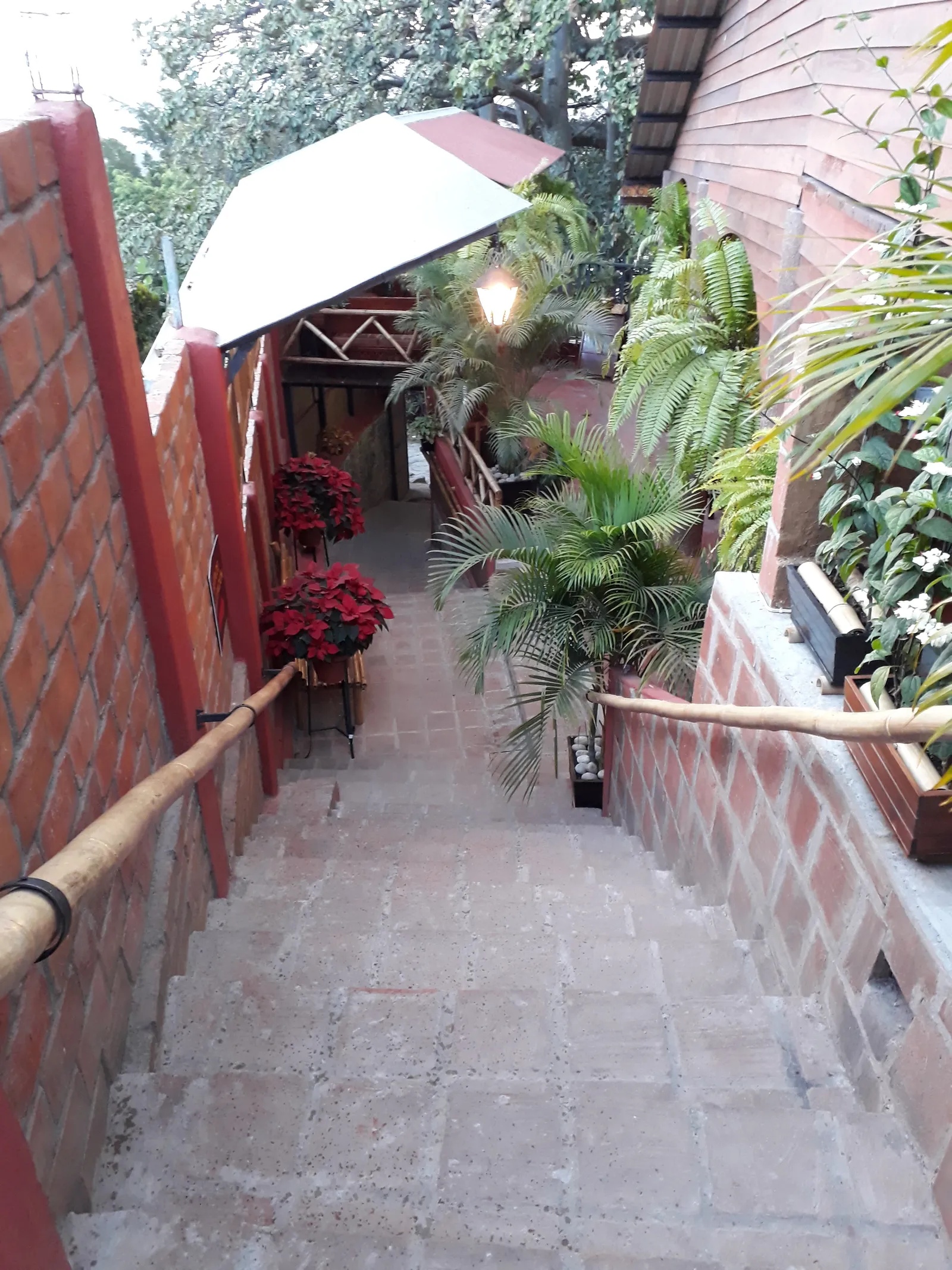 Squisitto Marisqueria image 3