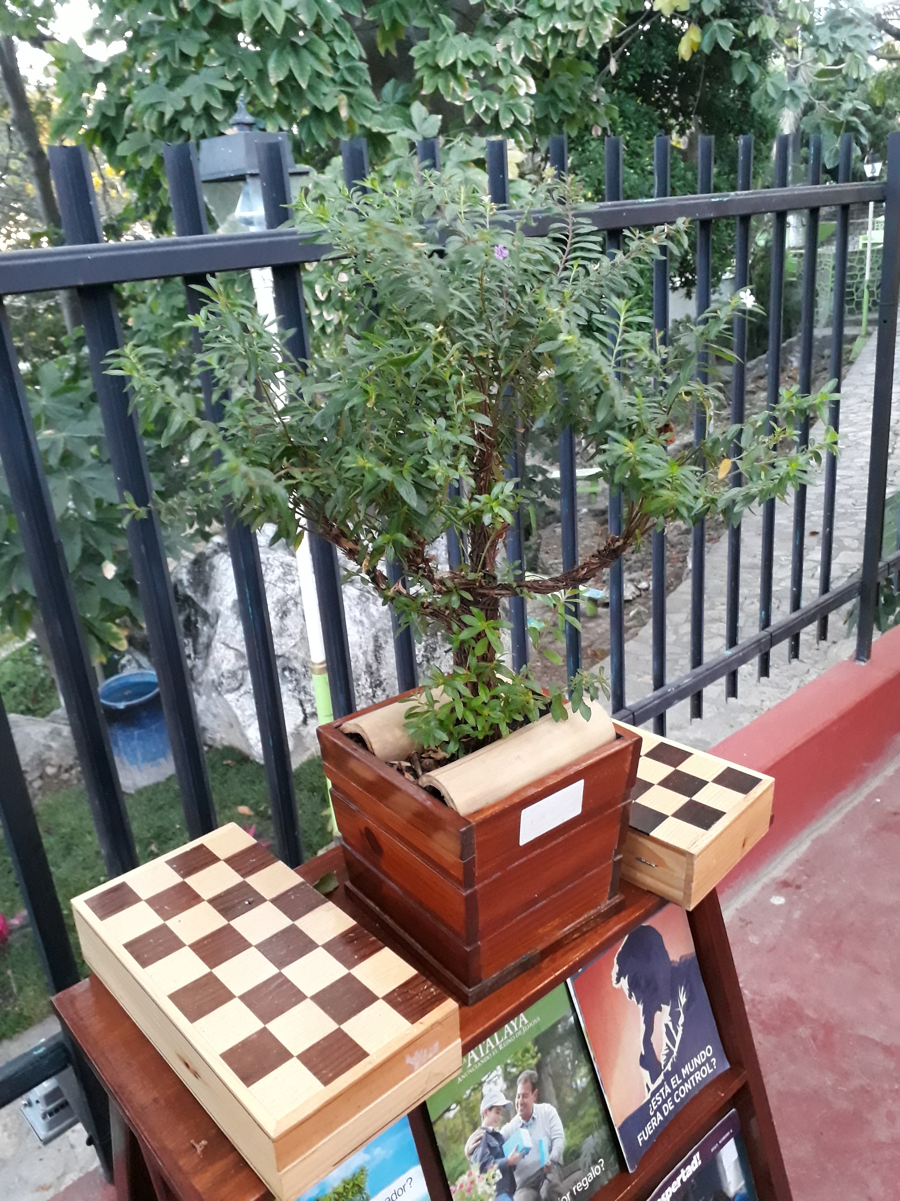 Squisitto Marisqueria image 7