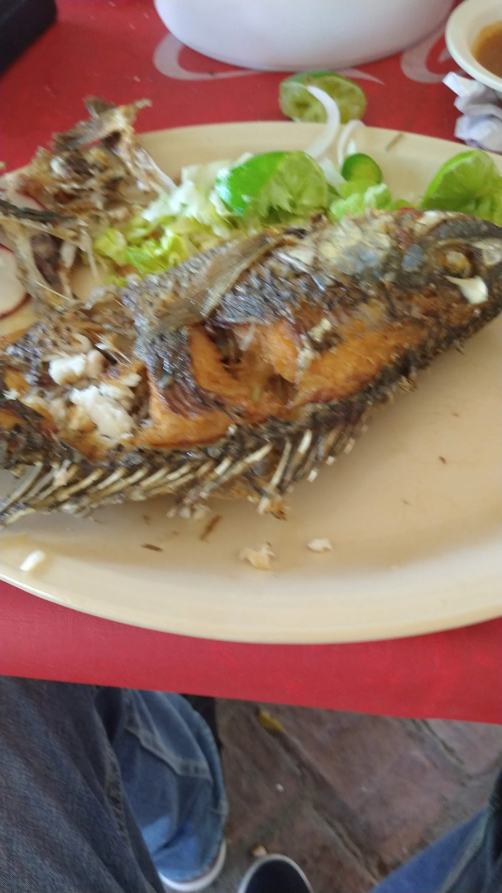 Restaurante “La casa del Árbol” image 2