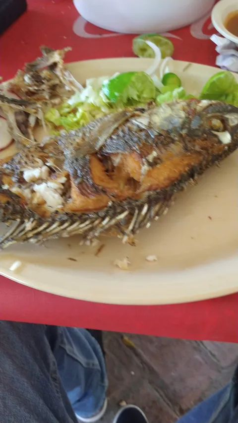 Restaurante “La casa del Árbol” image 2