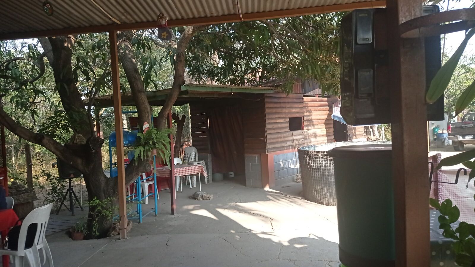 Restaurante “La casa del Árbol” image 3
