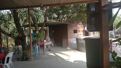 Restaurante “La casa del Árbol” image 3
