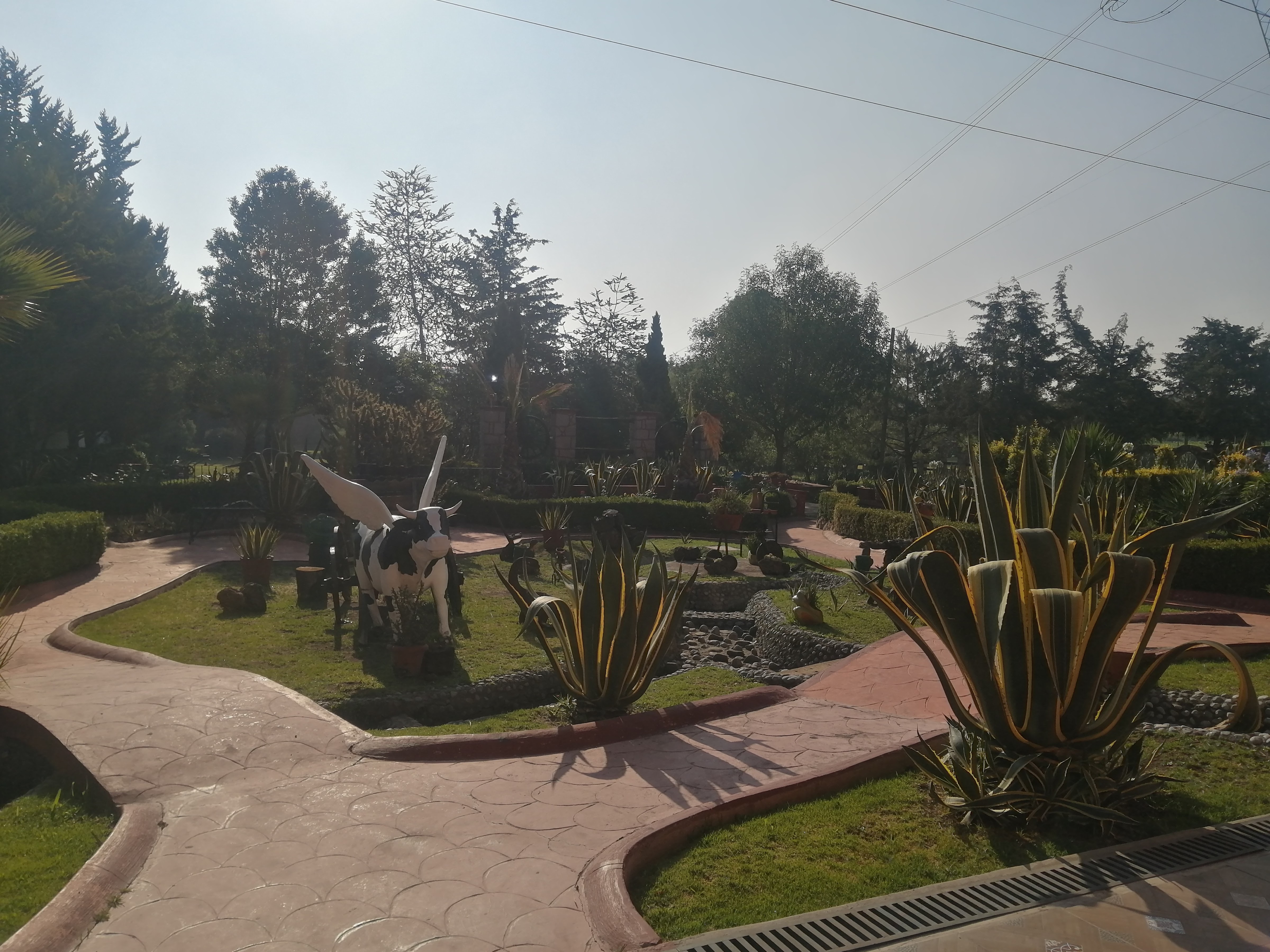 El Carnalito image 6