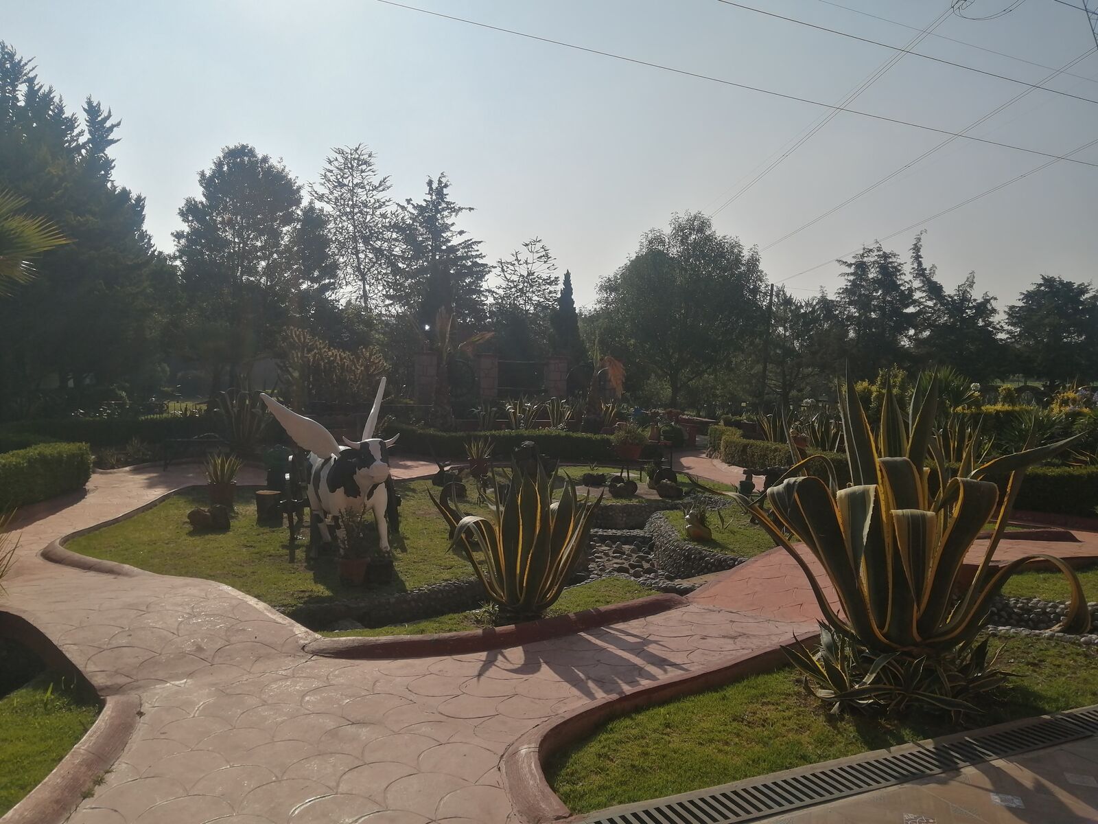 El Carnalito image 6