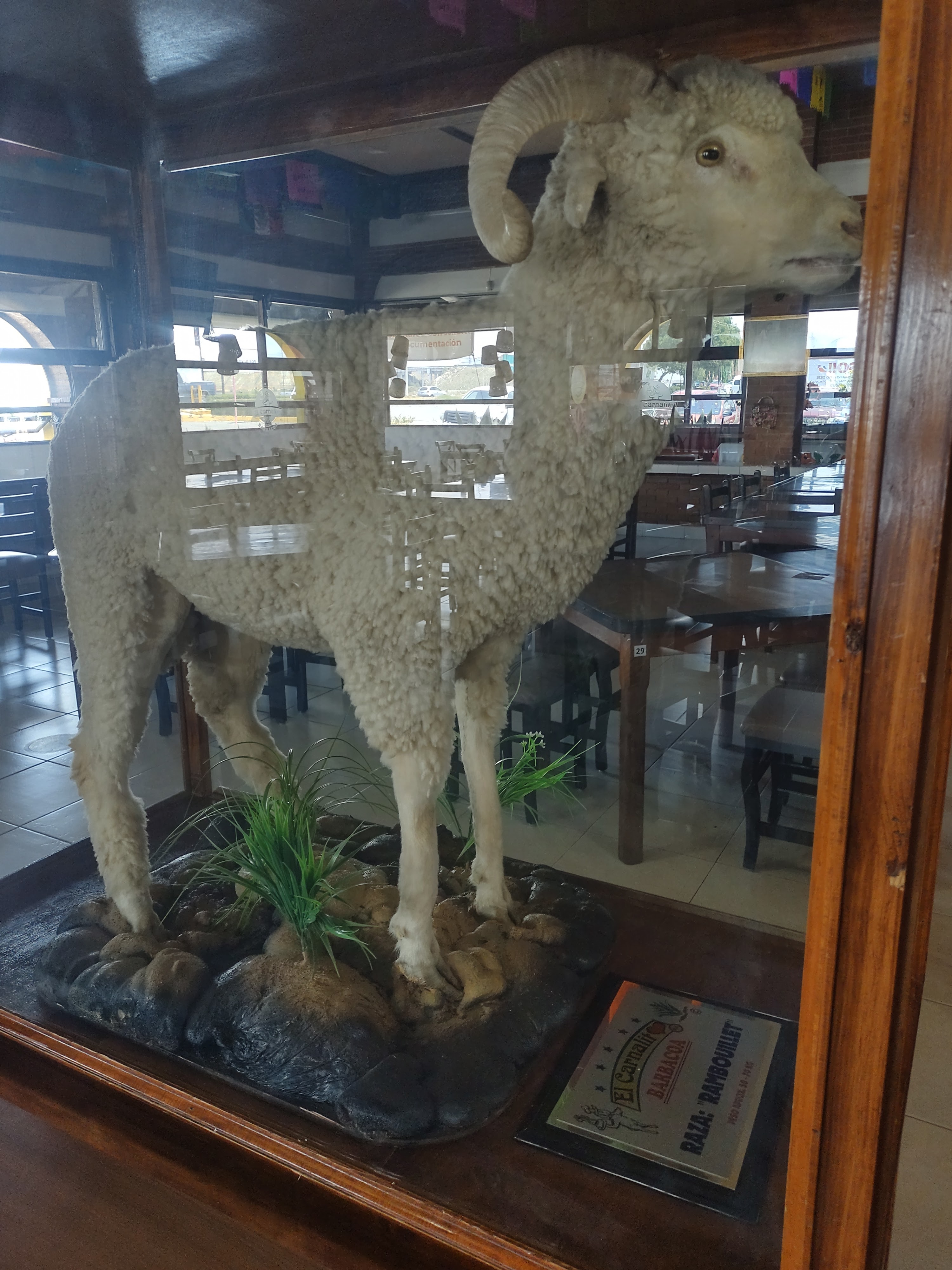 El Carnalito image 9