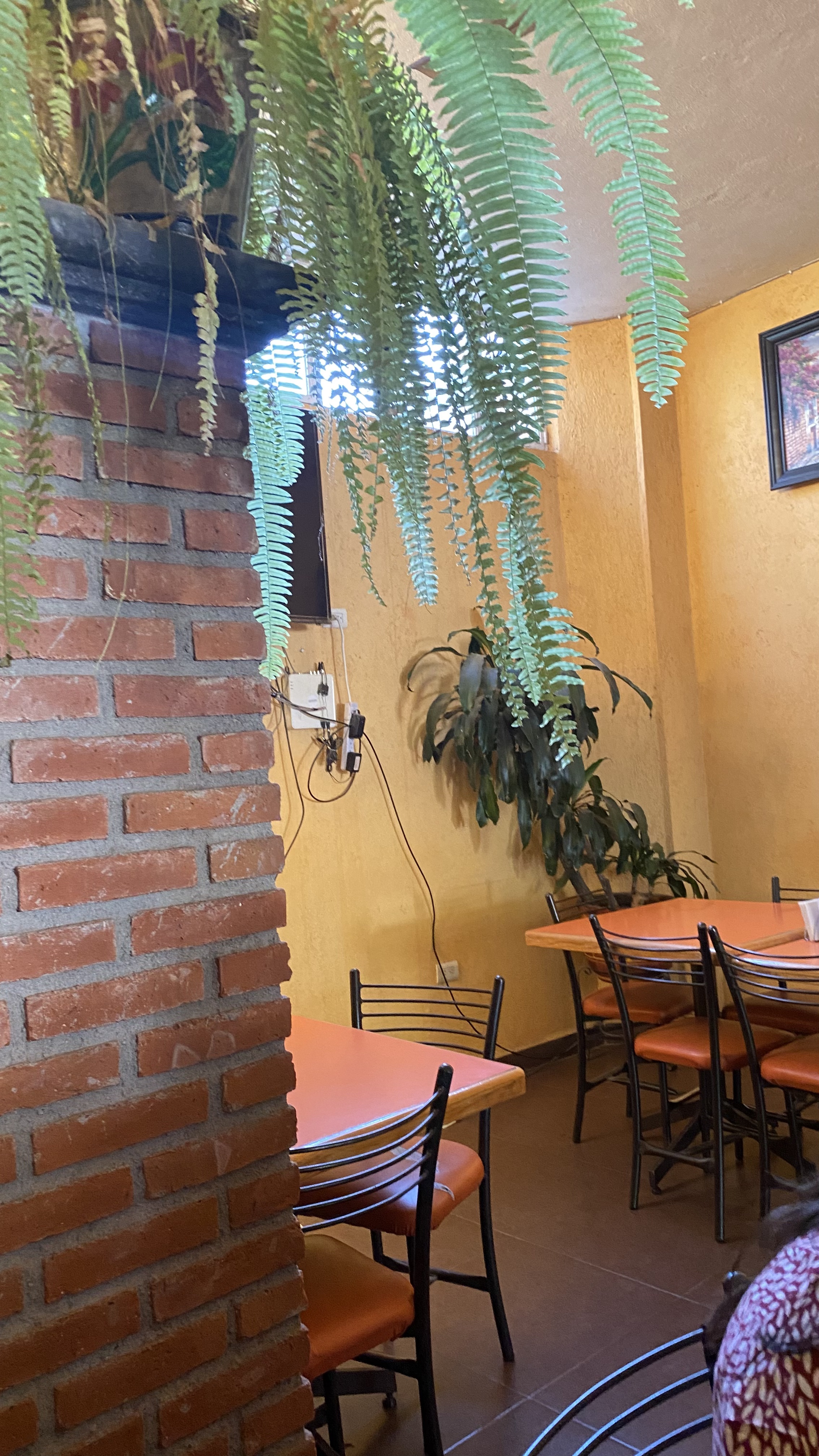 Comida Casera "Chanel" image 1