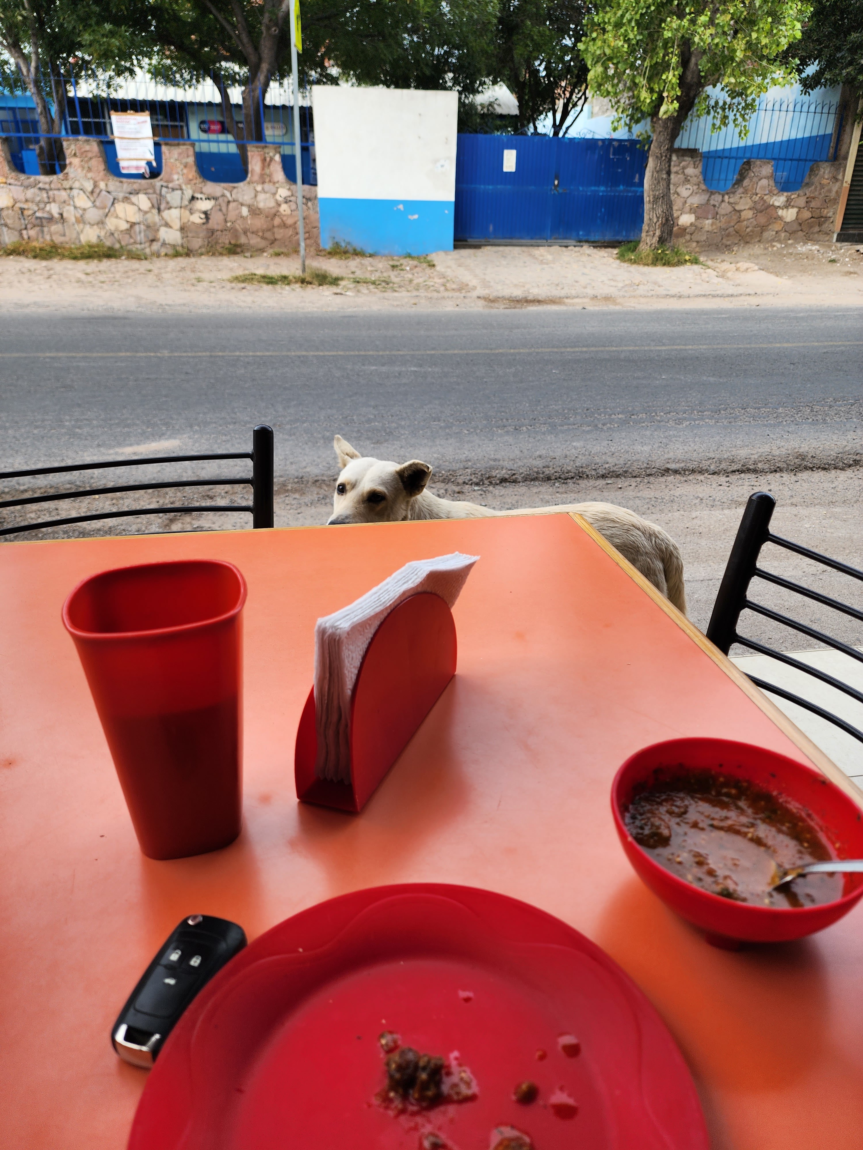 Comida Casera "Chanel" image 3