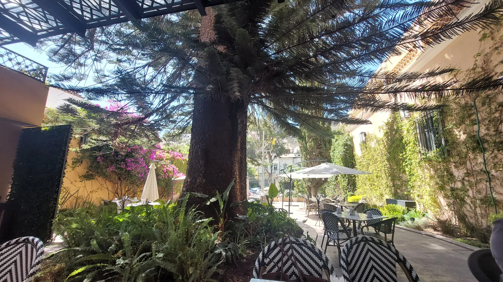 Restaurante de la presa image 7
