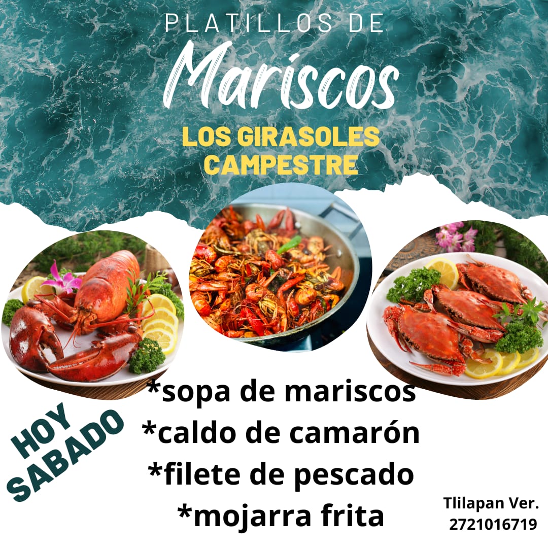 Los Girasoles Campestre image 5