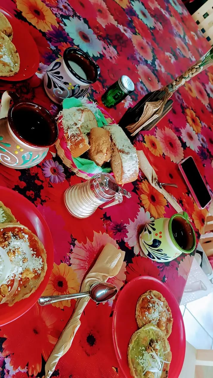 Los Girasoles Campestre image 8