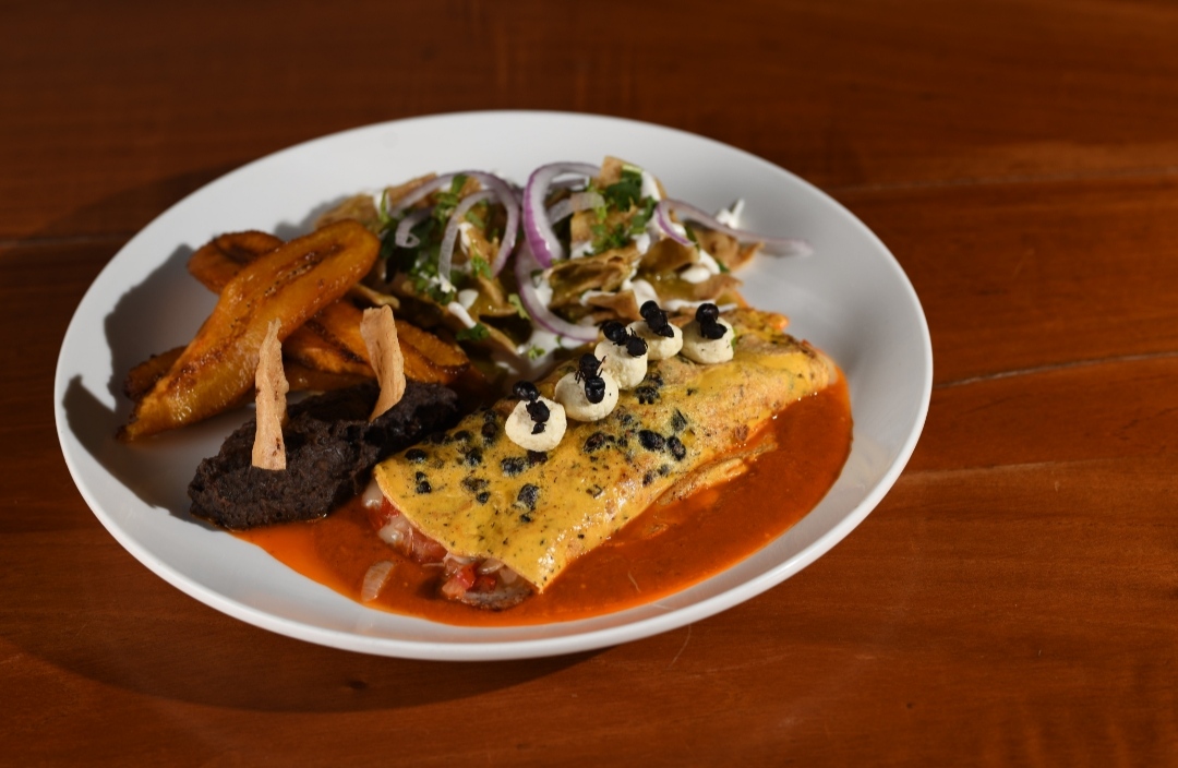 Mar y Tierra image 2