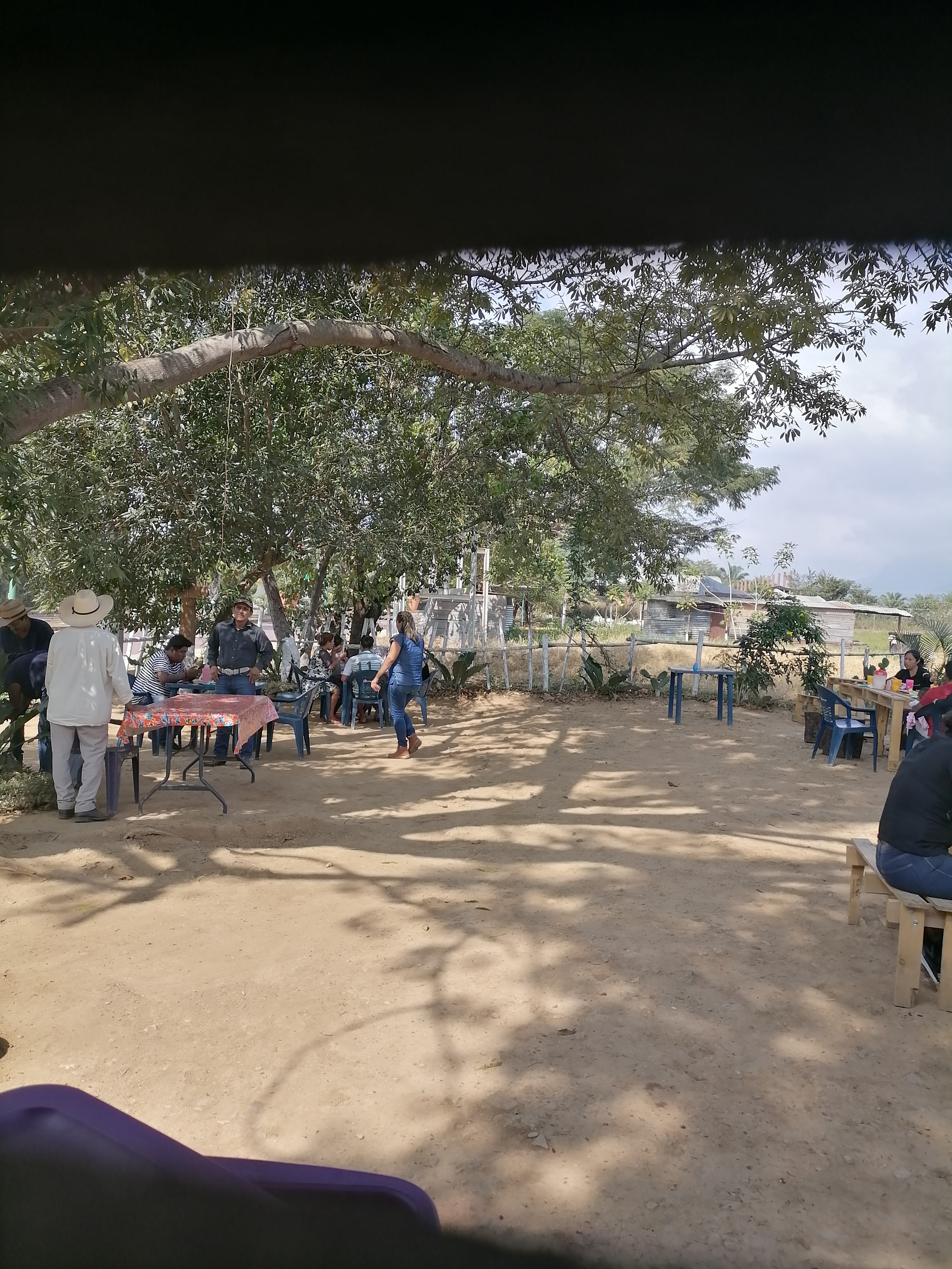 asadero del rey image 3