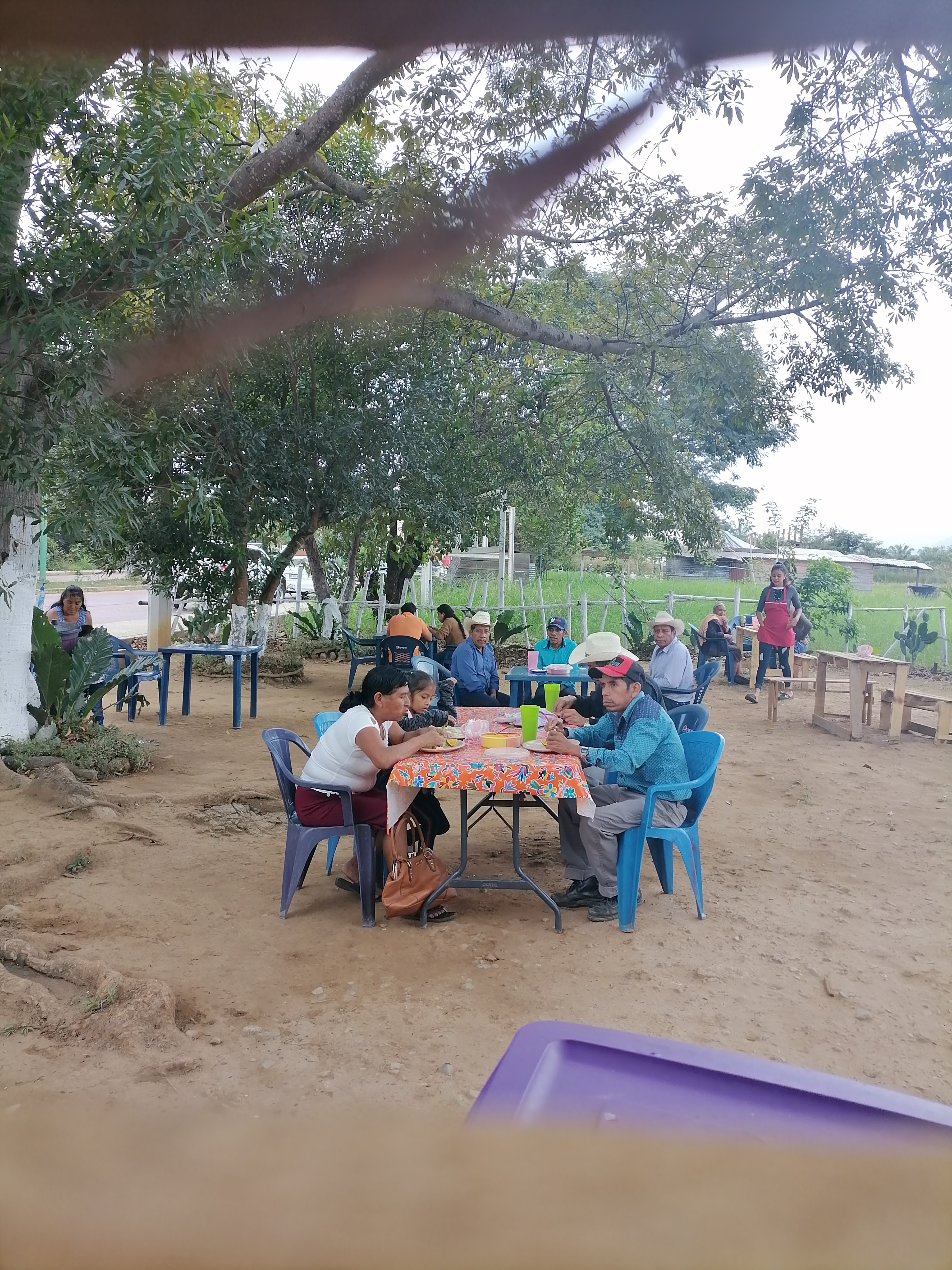 asadero del rey image 6