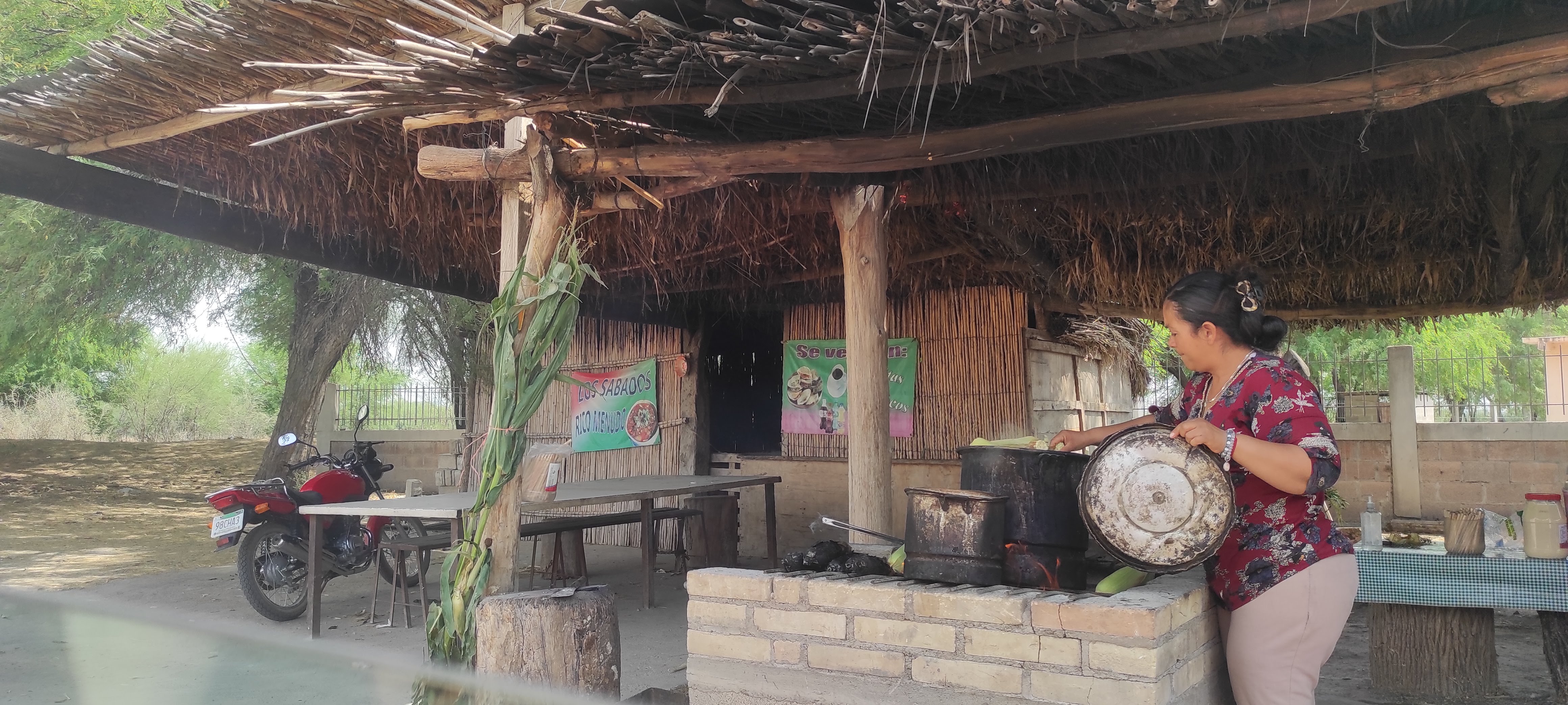 Elotes la bandera image 2