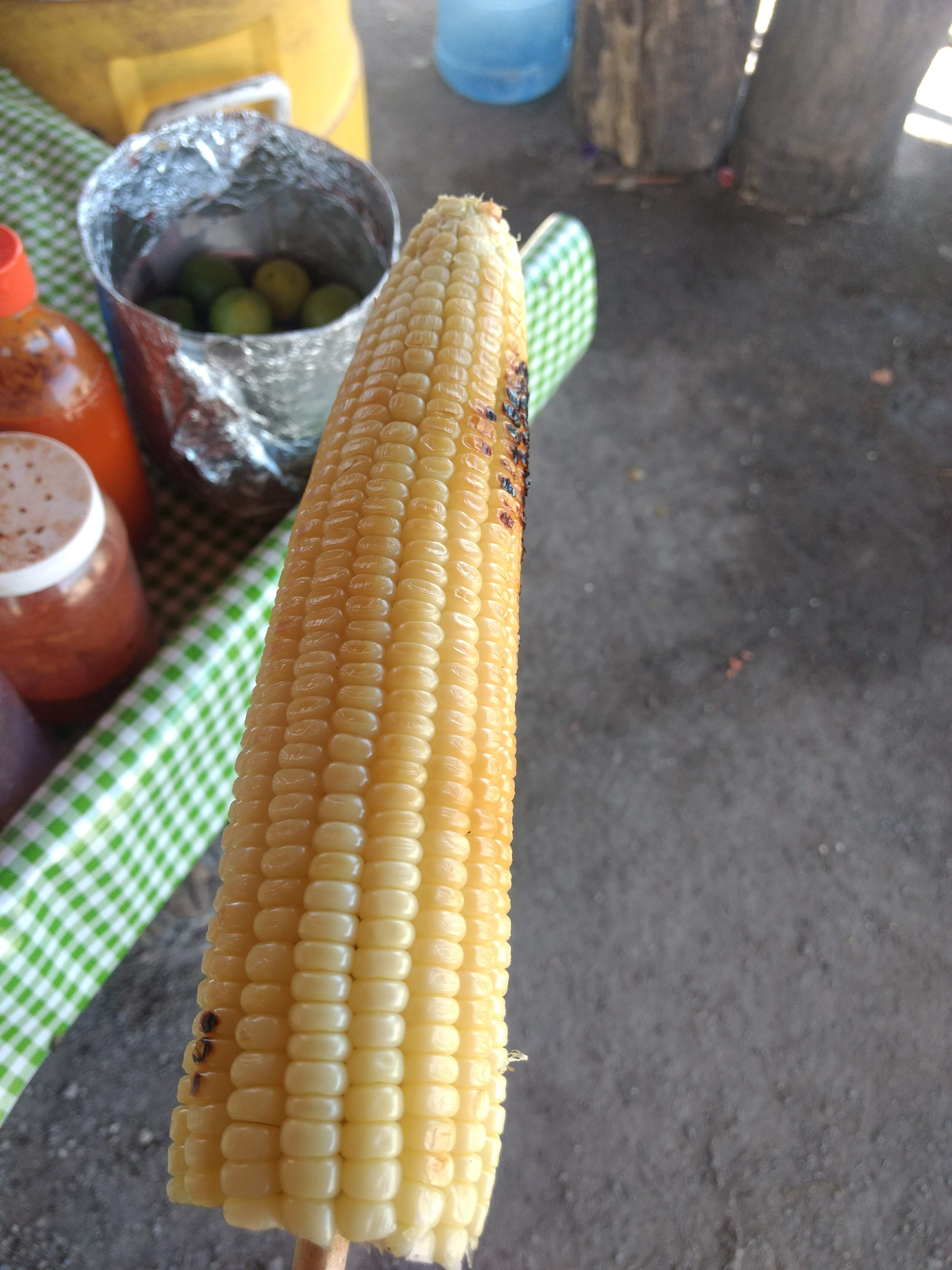 Elotes la bandera image 3