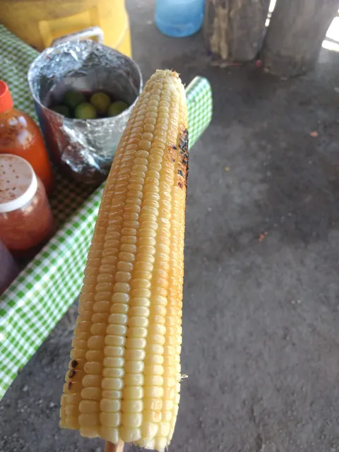 Elotes la bandera image 3