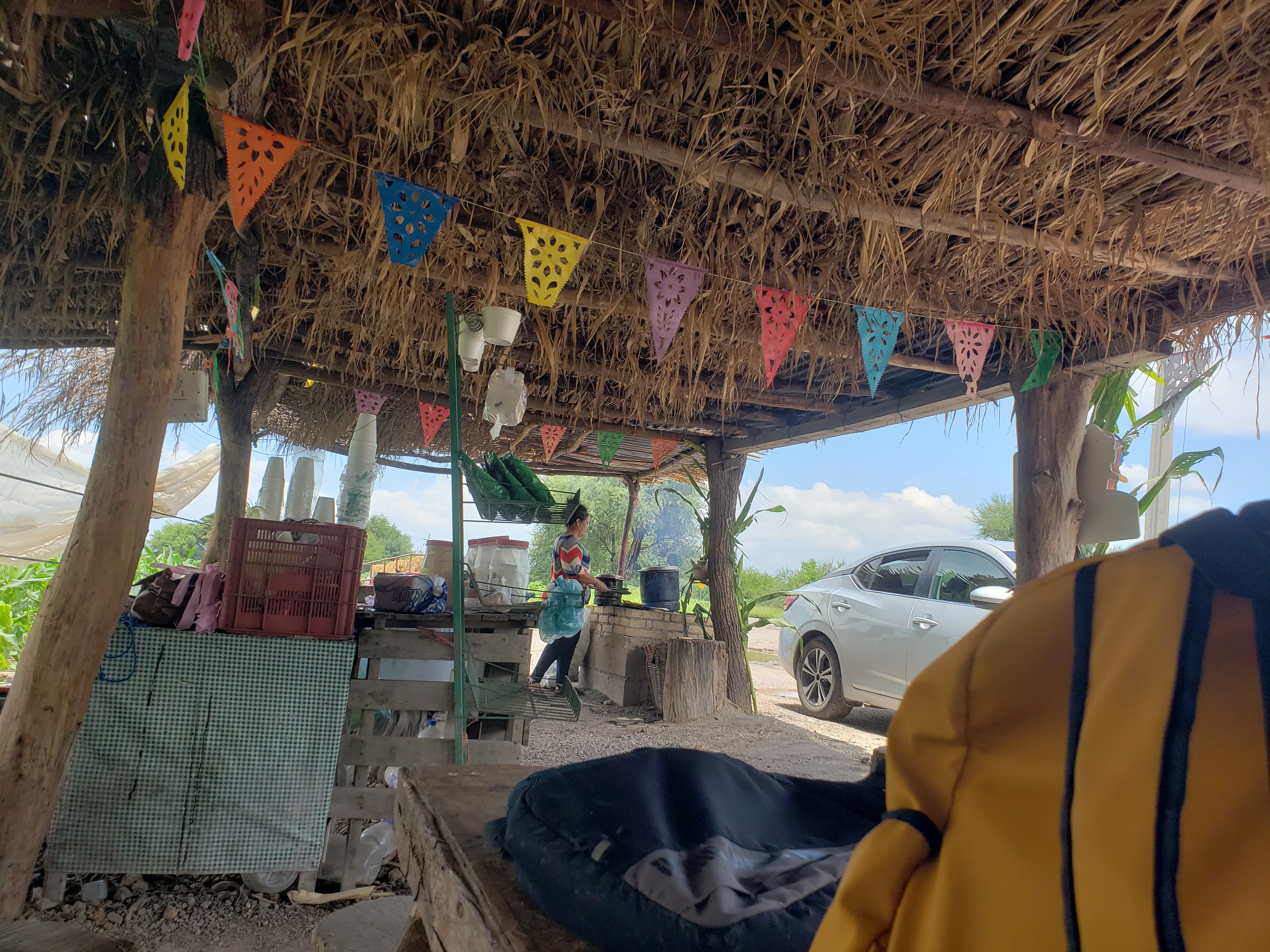 Elotes la bandera image 6