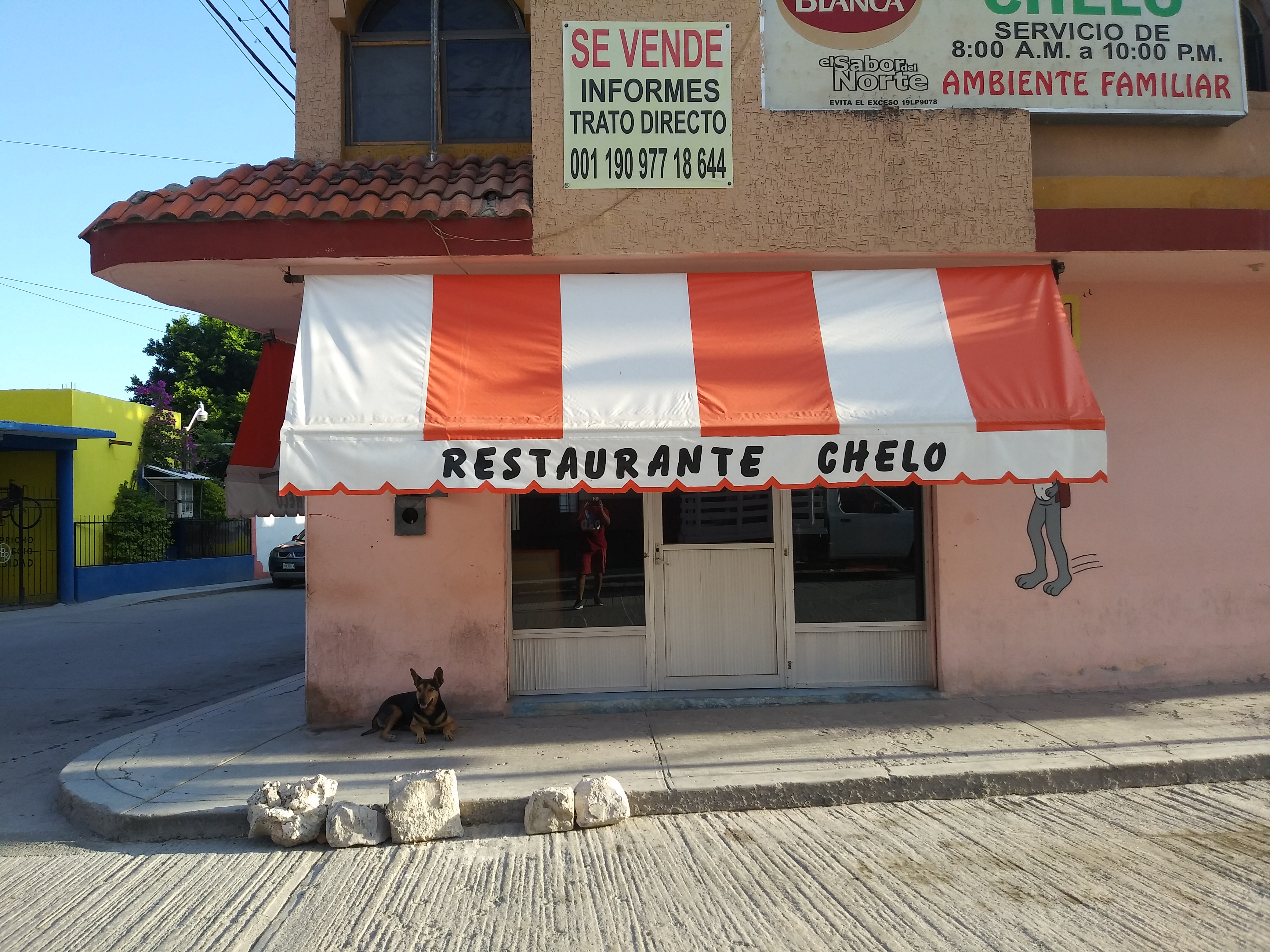 Restaurant Chelo image 5