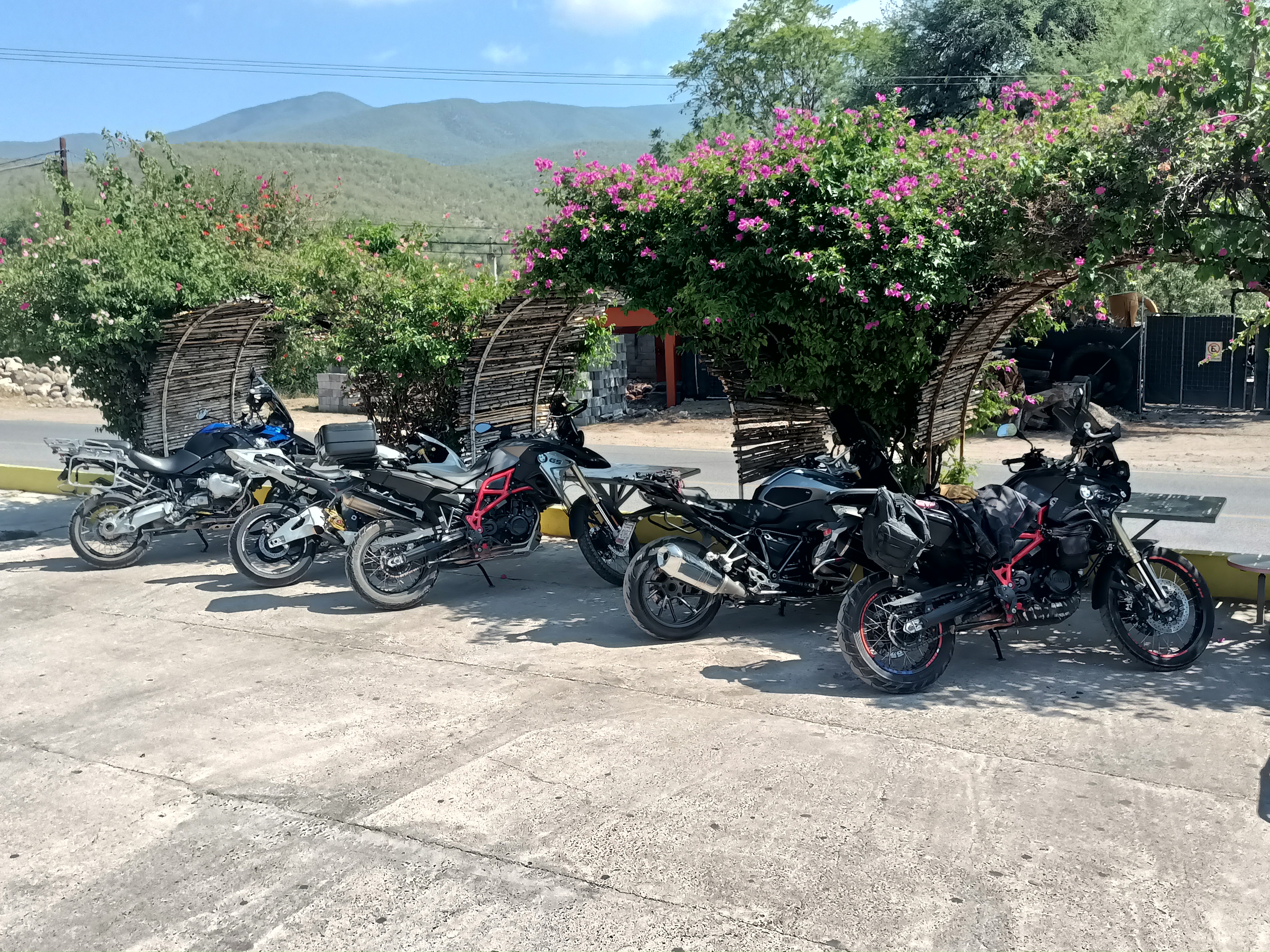 Restaurant Galicia image 9